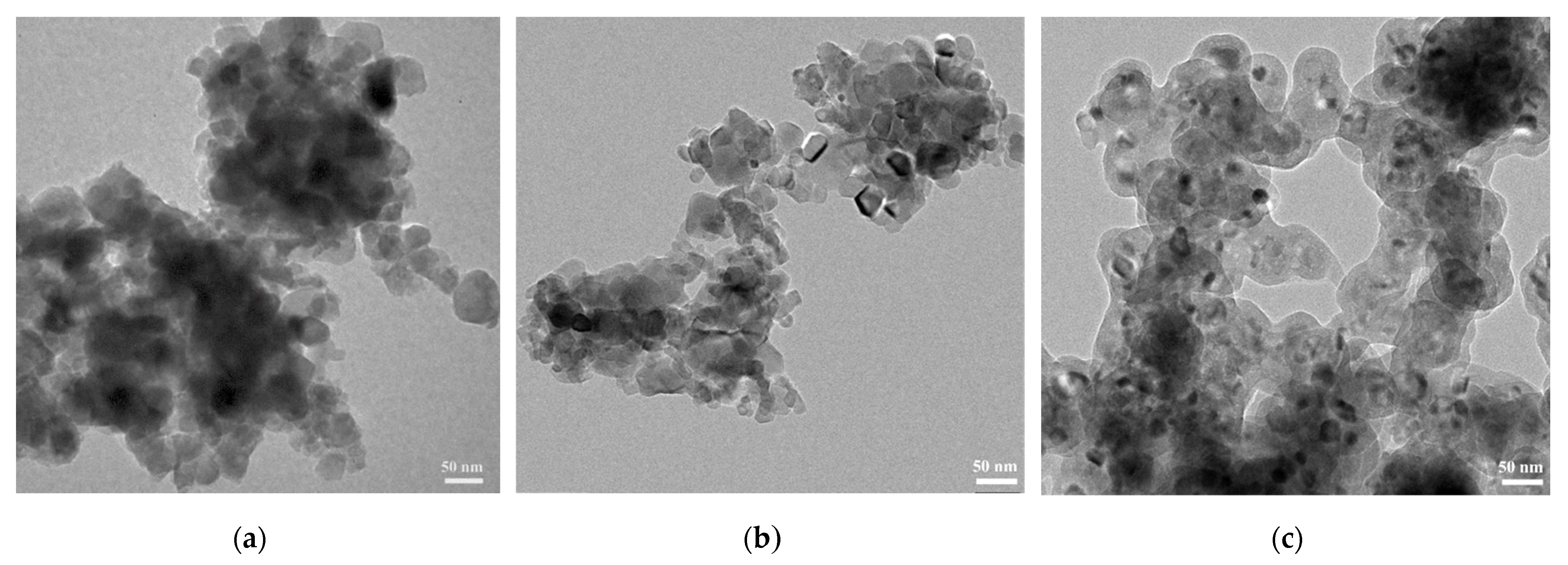 Catalysts 13 00351 g002