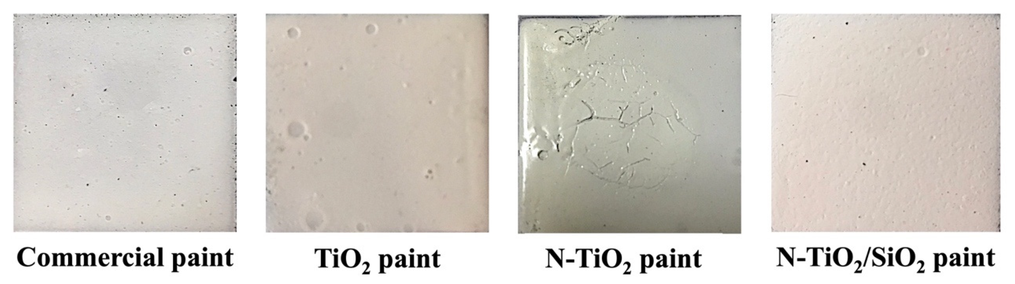 Catalysts 13 00351 g006
