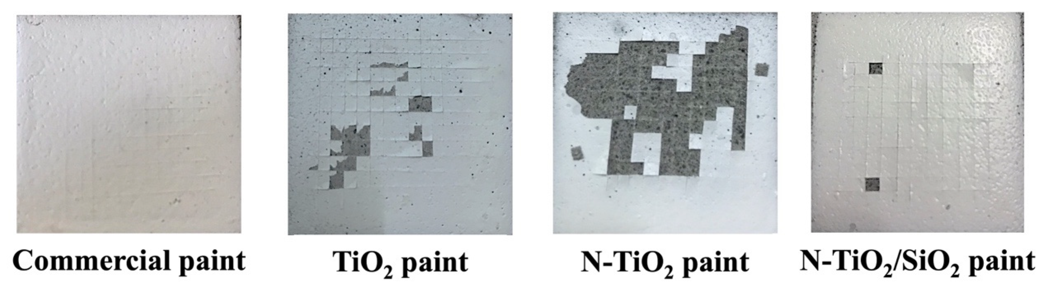 Catalysts 13 00351 g008