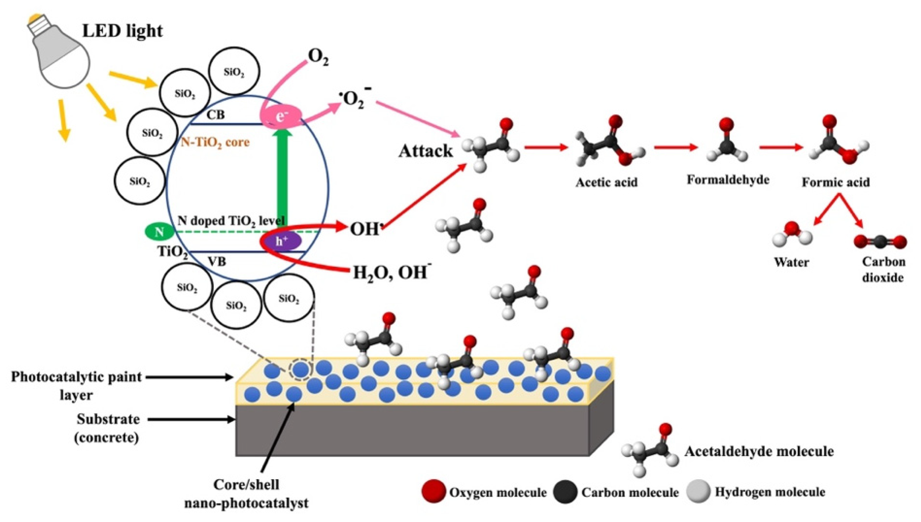 Catalysts 13 00351 g011