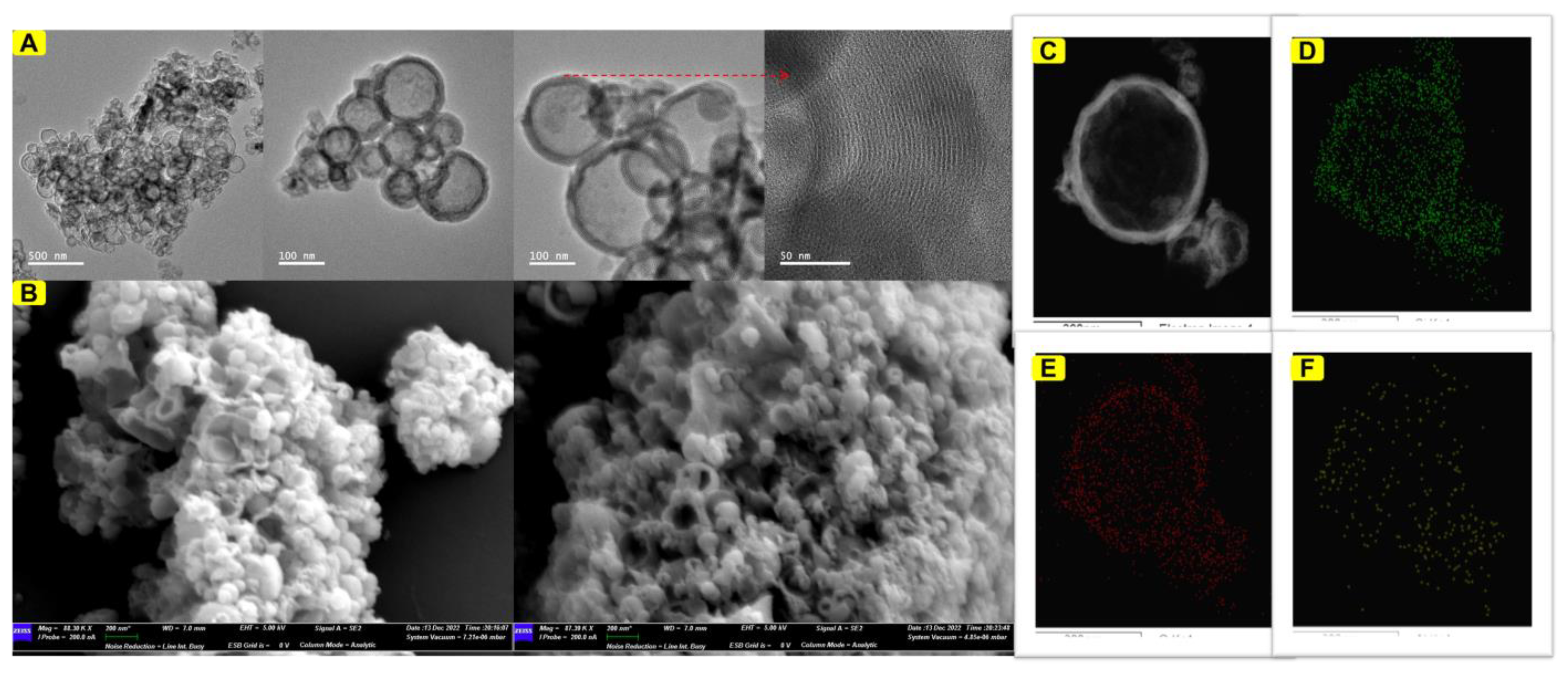 Catalysts 13 00354 g003