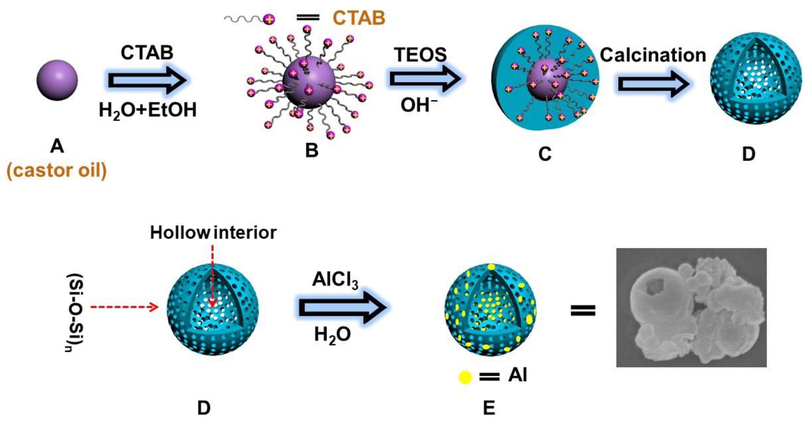 Catalysts 13 00354 sch001