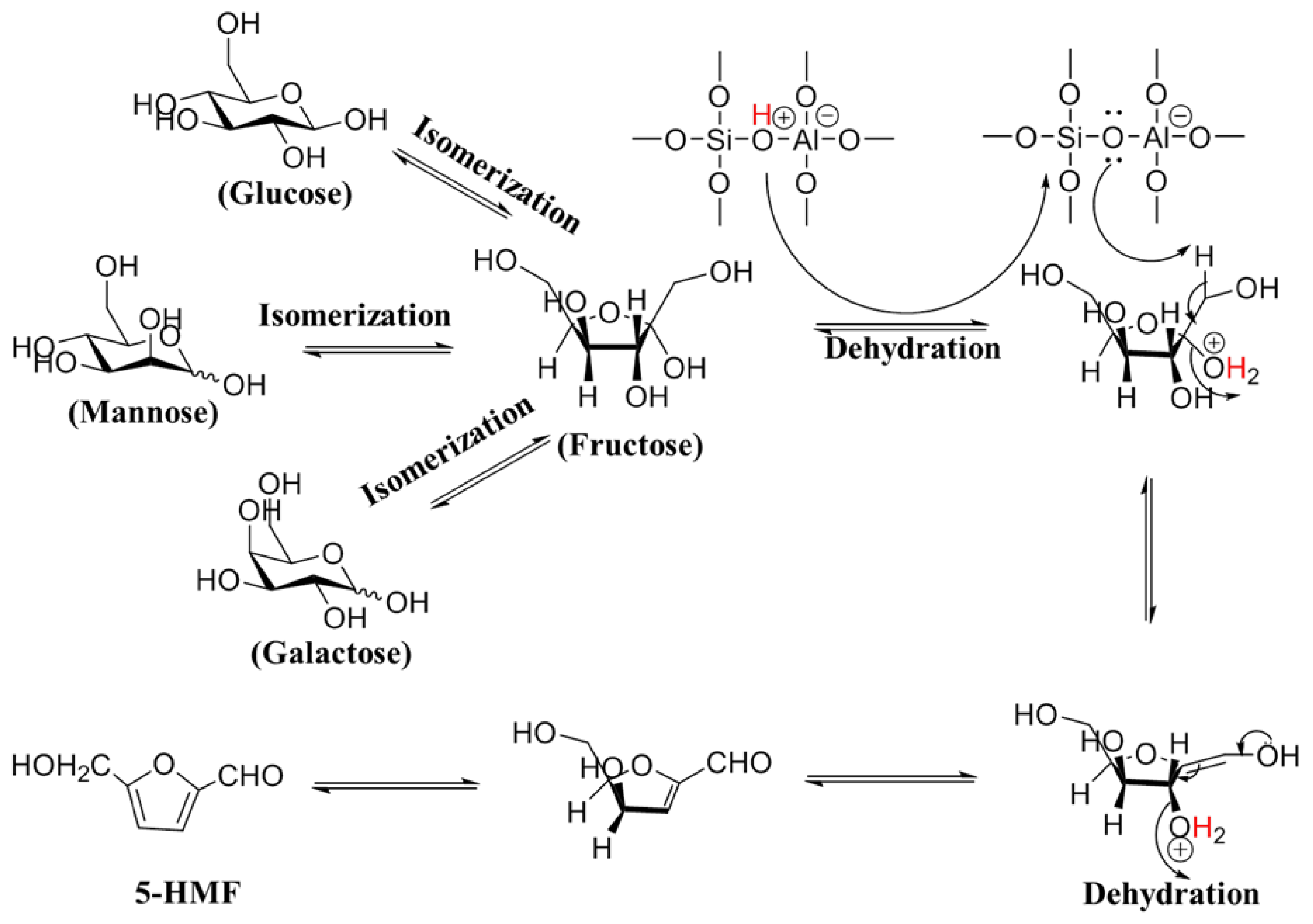 Catalysts 13 00354 sch002