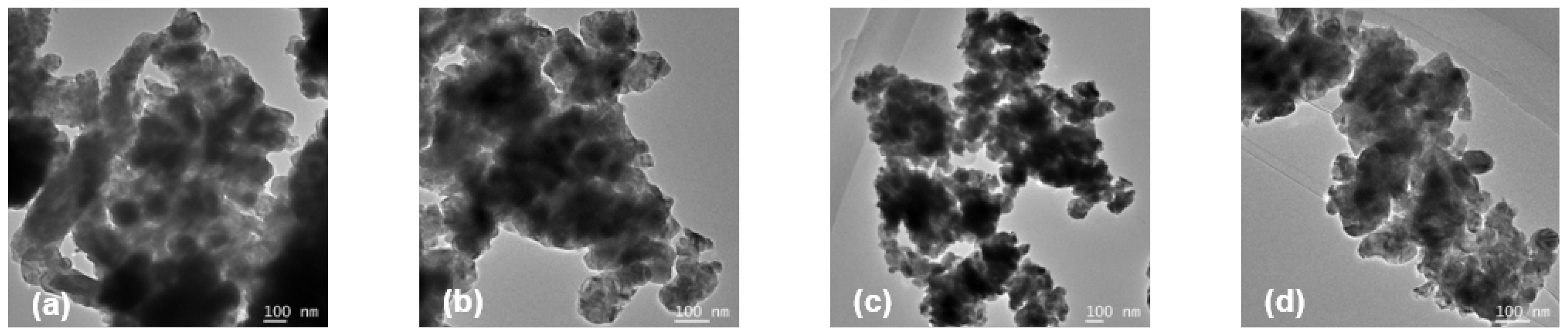 Catalysts 13 00356 g010 550