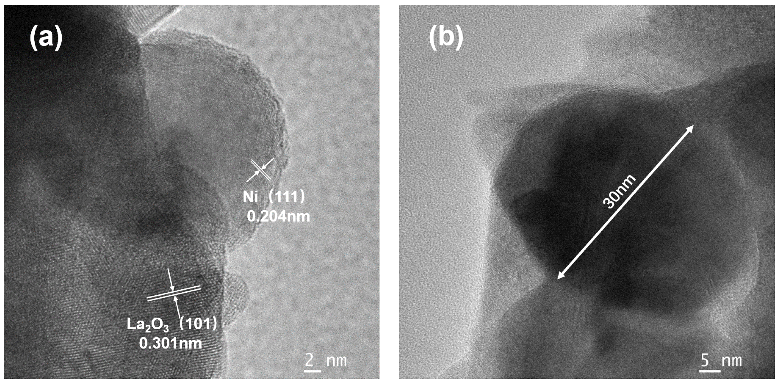 Catalysts 13 00356 g011 550