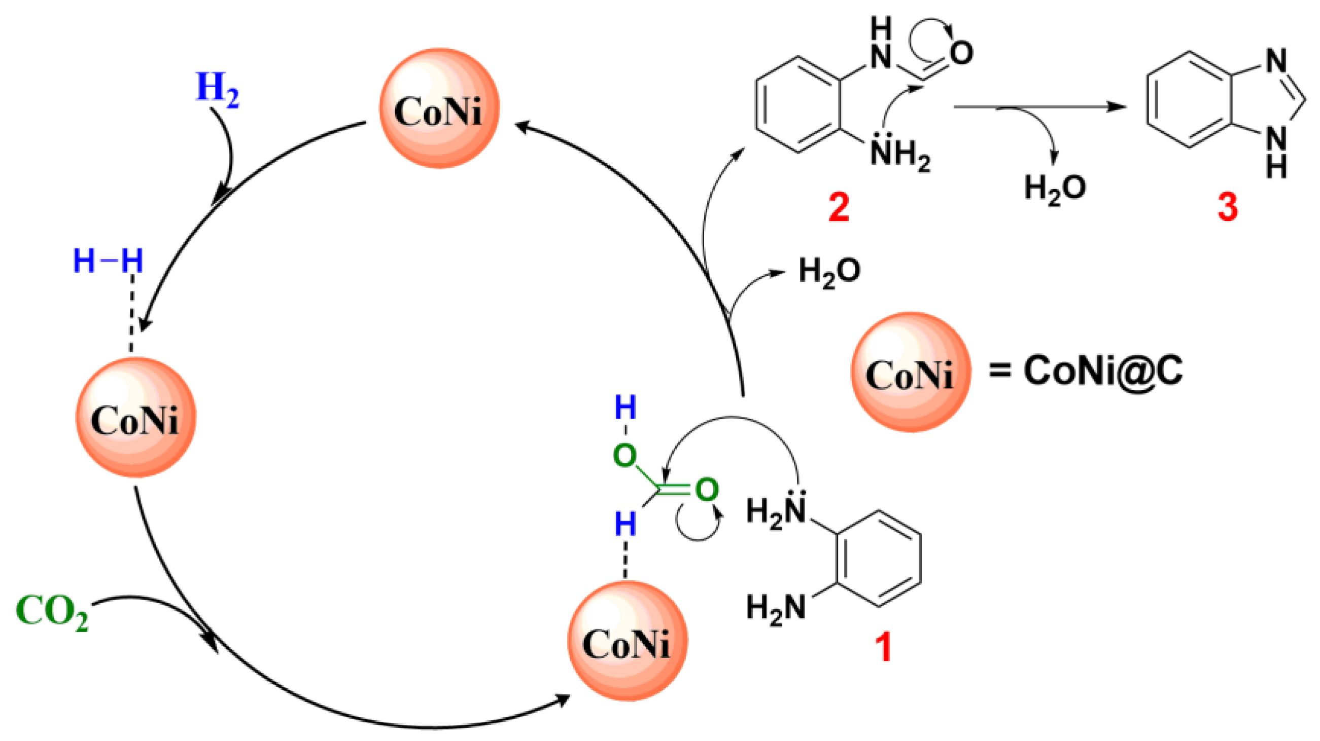 Catalysts 13 00357 g007 550