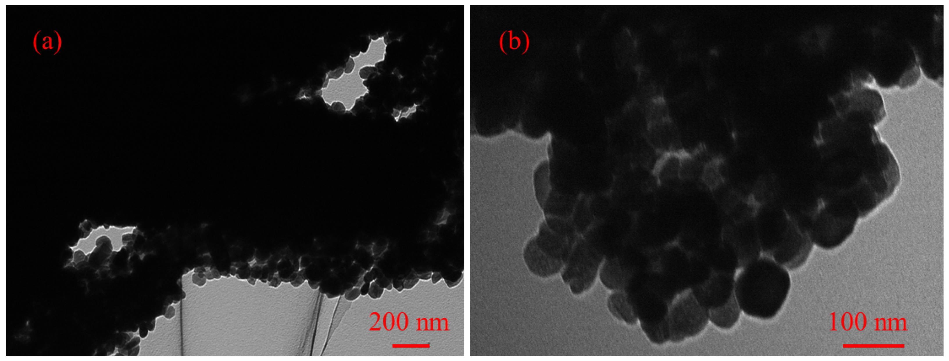 Catalysts 13 00358 g002