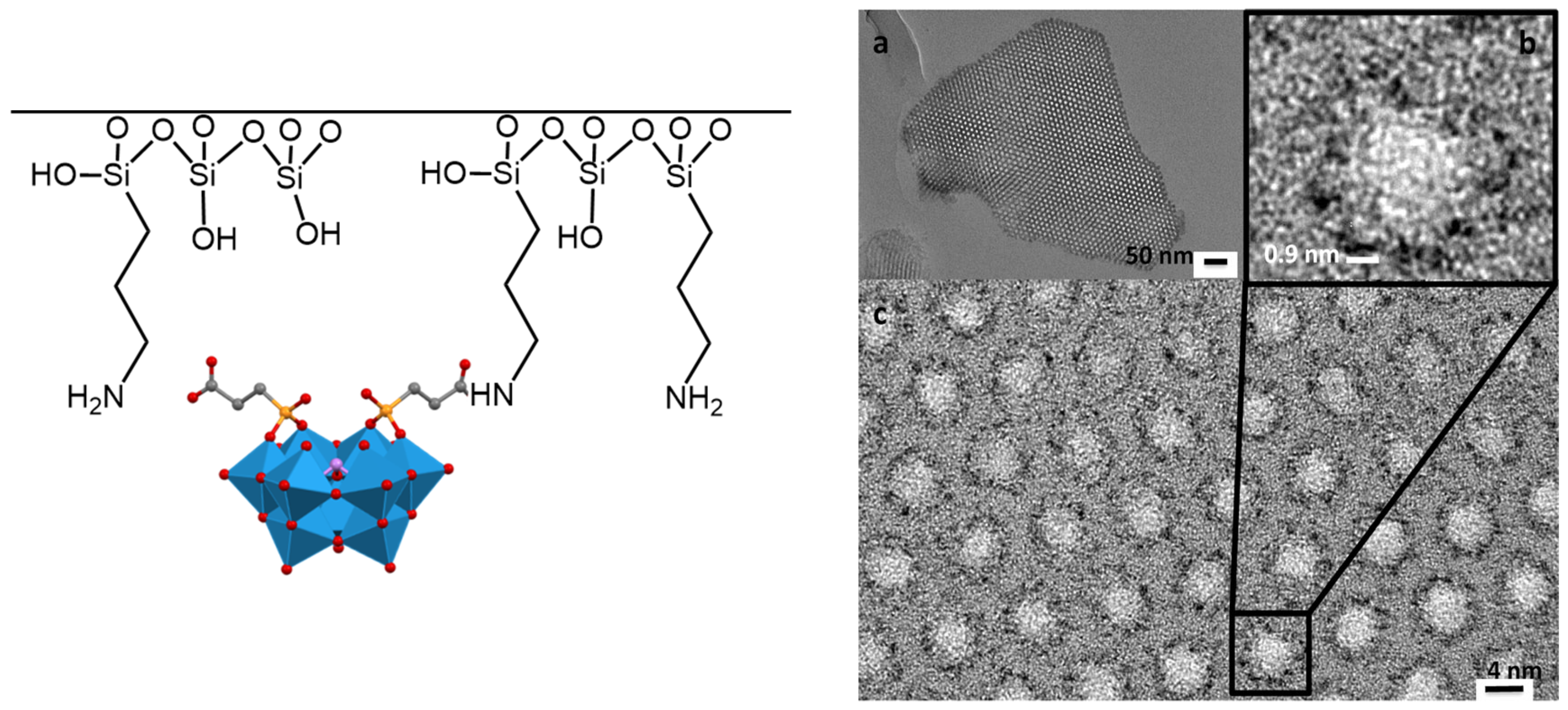 Catalysts 13 00360 g005