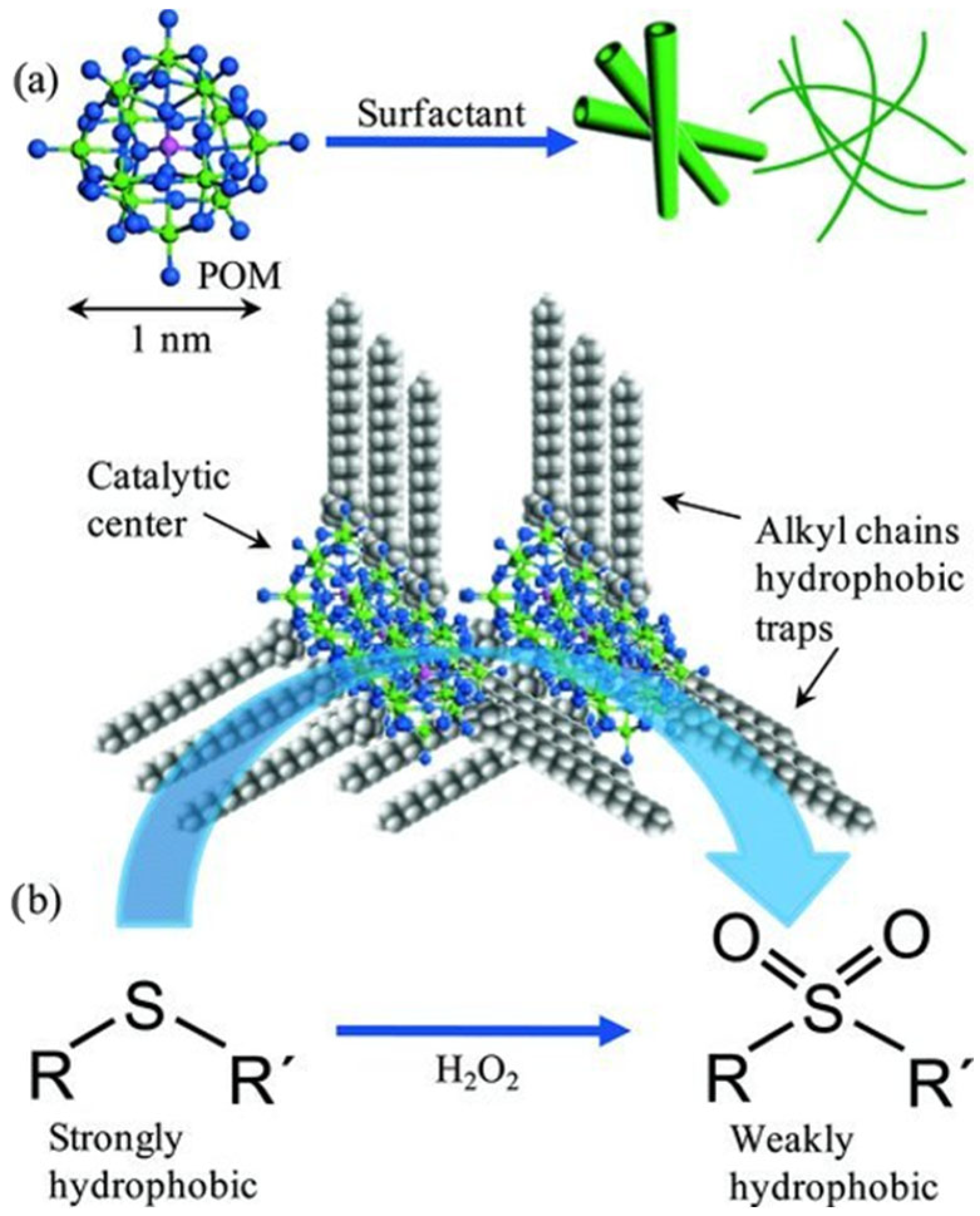 Catalysts 13 00360 g006