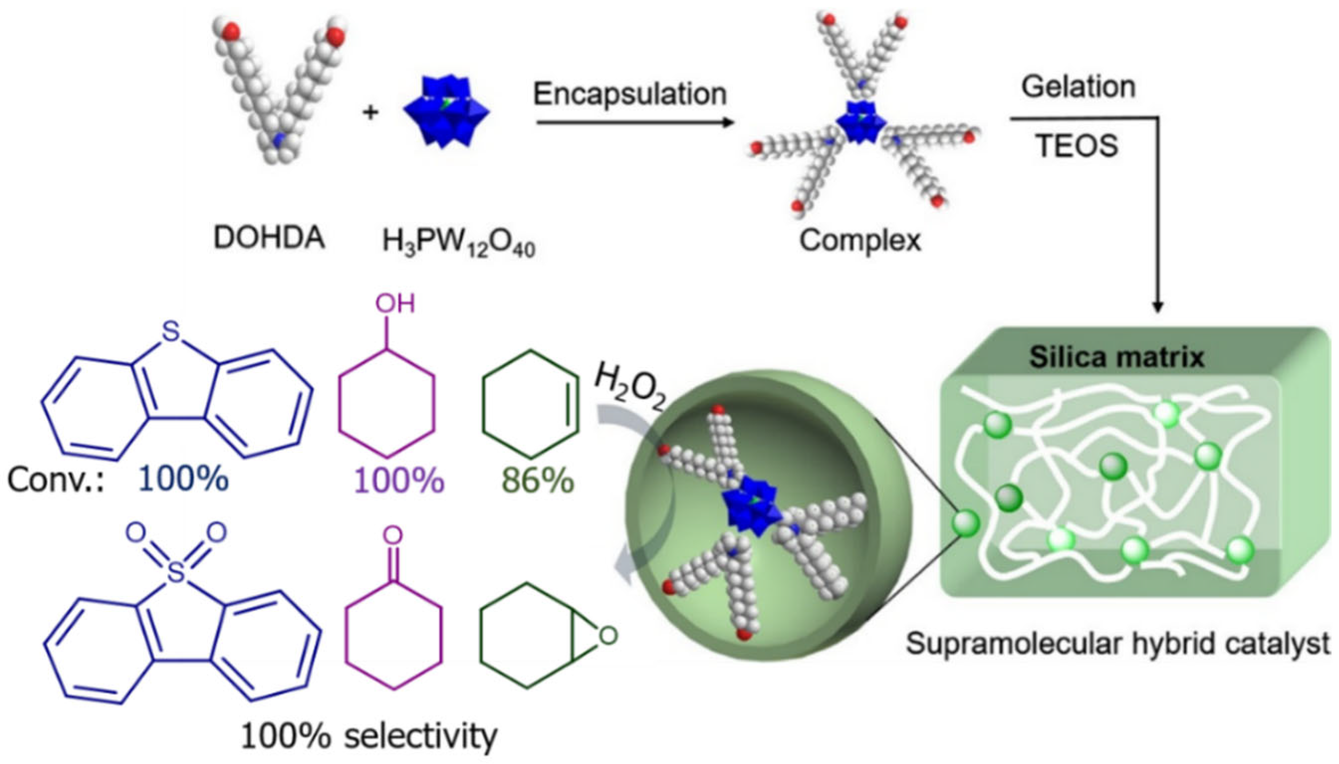 Catalysts 13 00360 g007