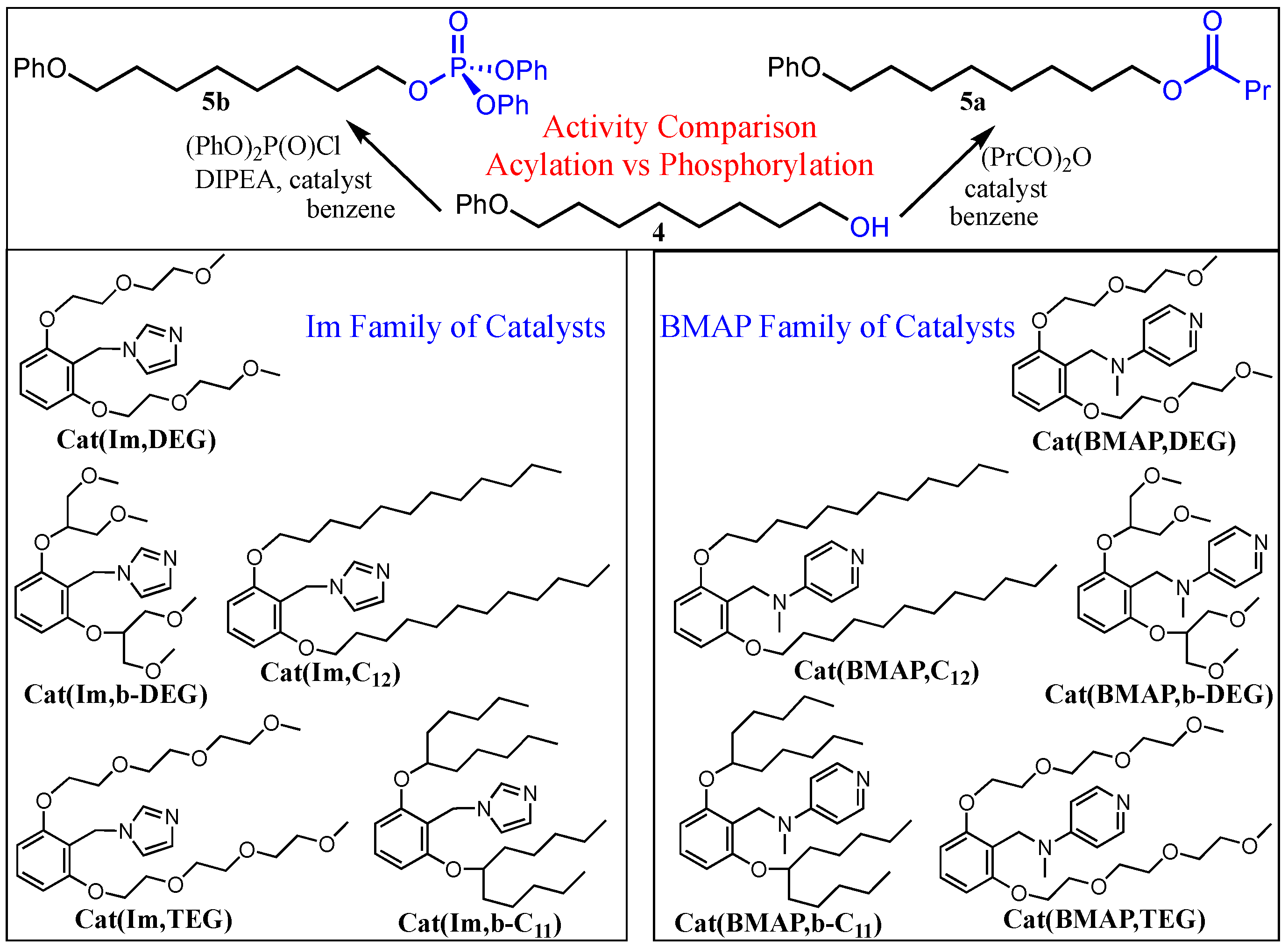 Catalysts 13 00361 sch002 550