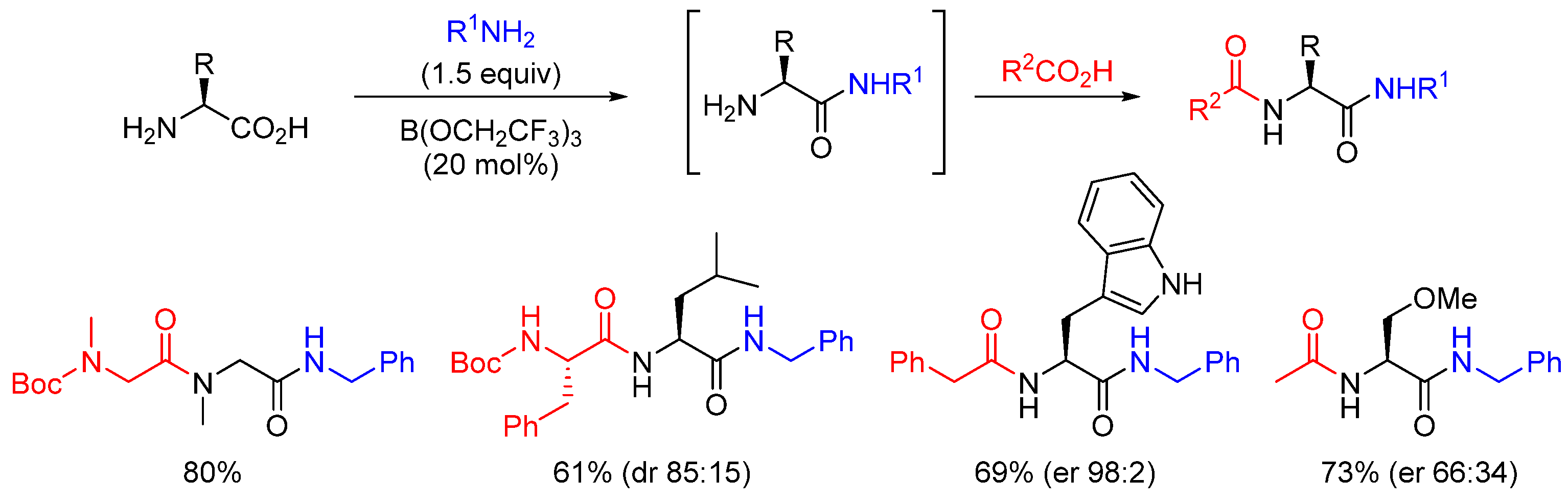 Catalysts 13 00366 sch012 550