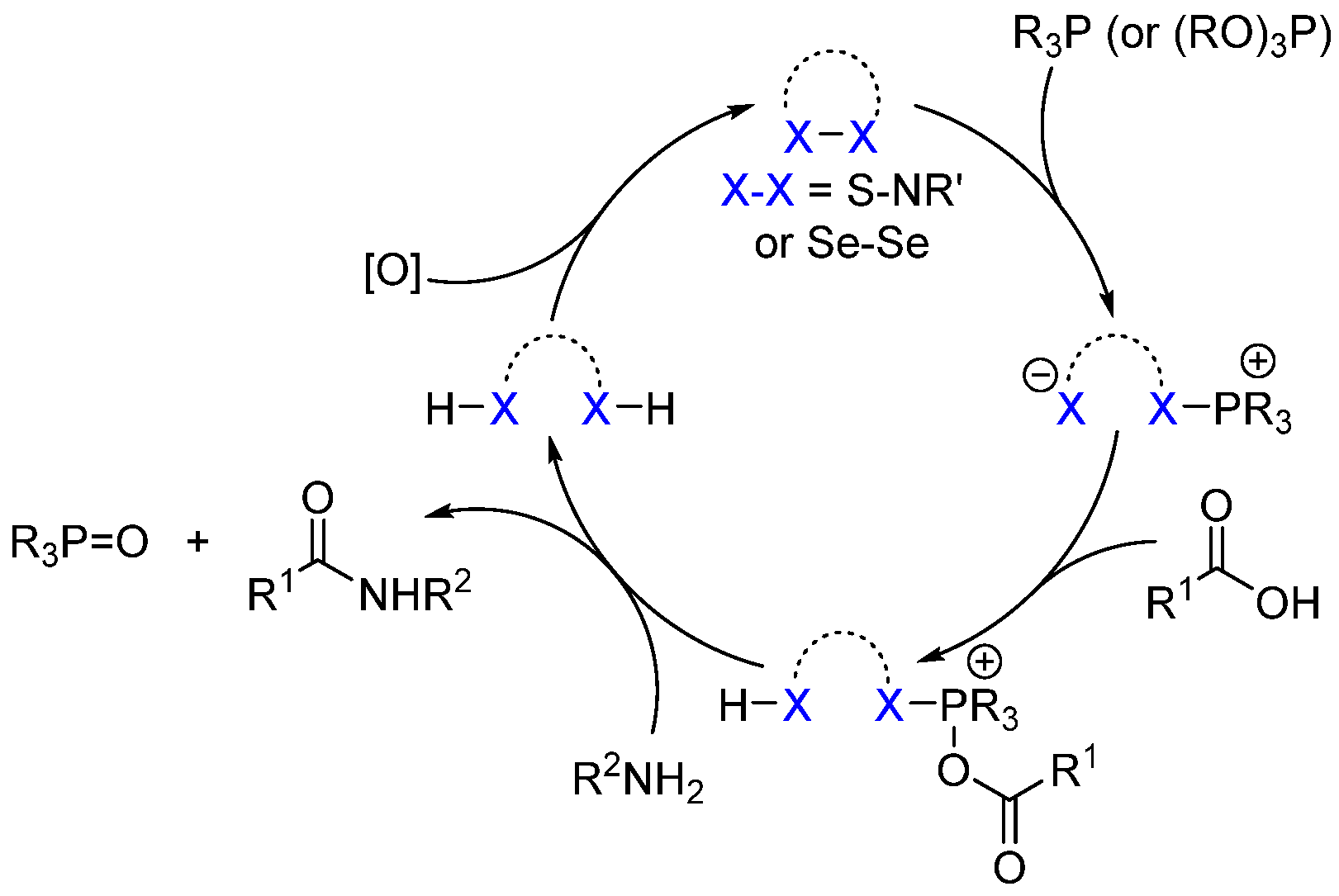 Catalysts 13 00366 sch017 550