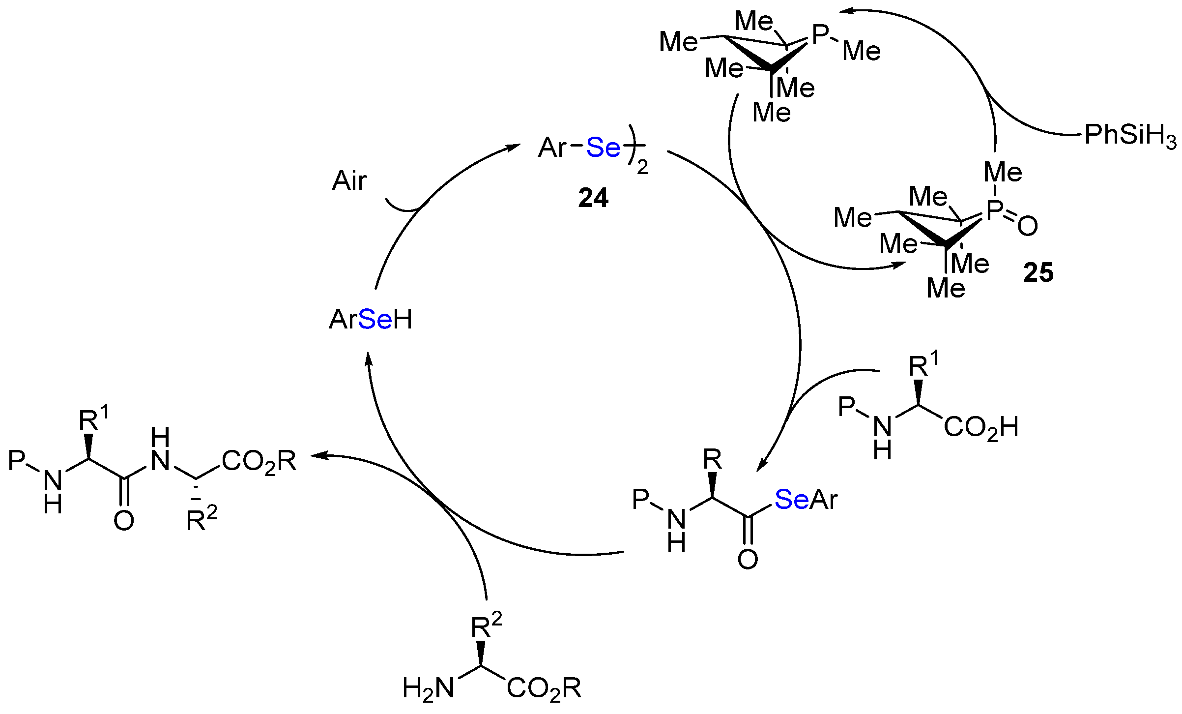 Catalysts 13 00366 sch019 550
