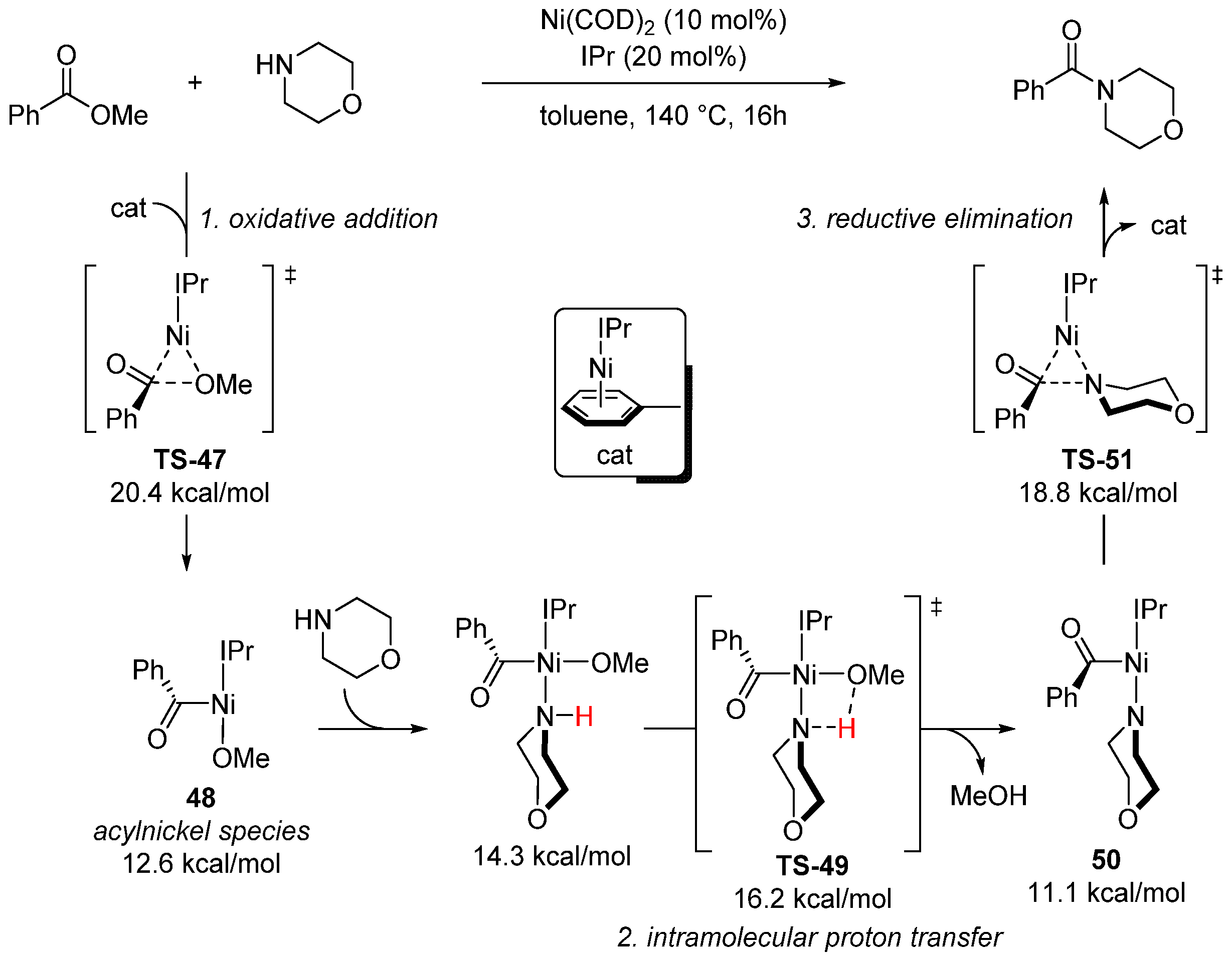 Catalysts 13 00366 sch034 550