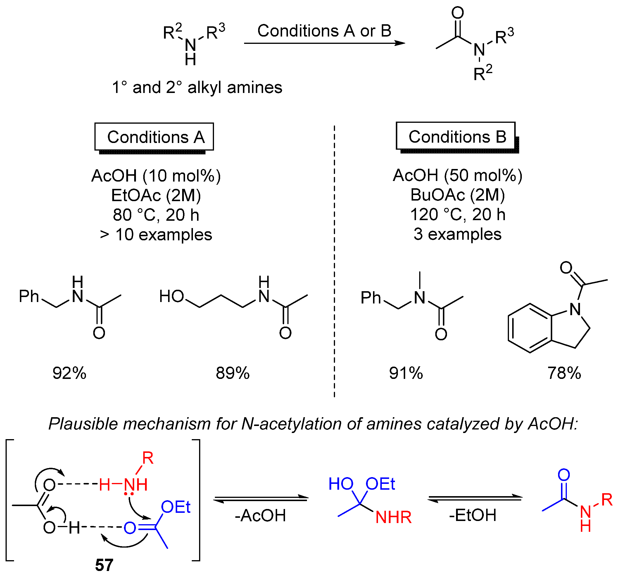 Catalysts 13 00366 sch040 550