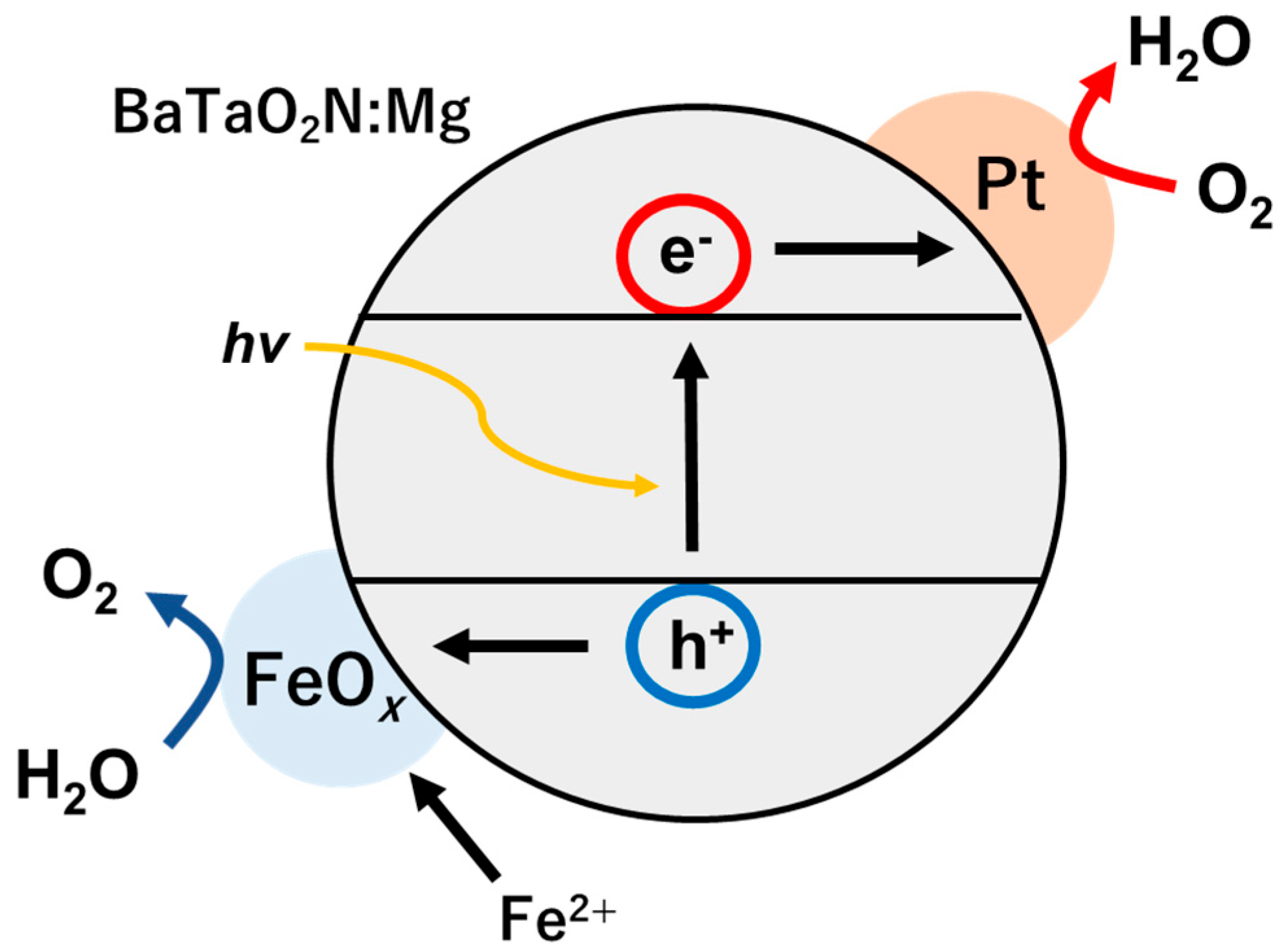 Catalysts 13 00373 g004