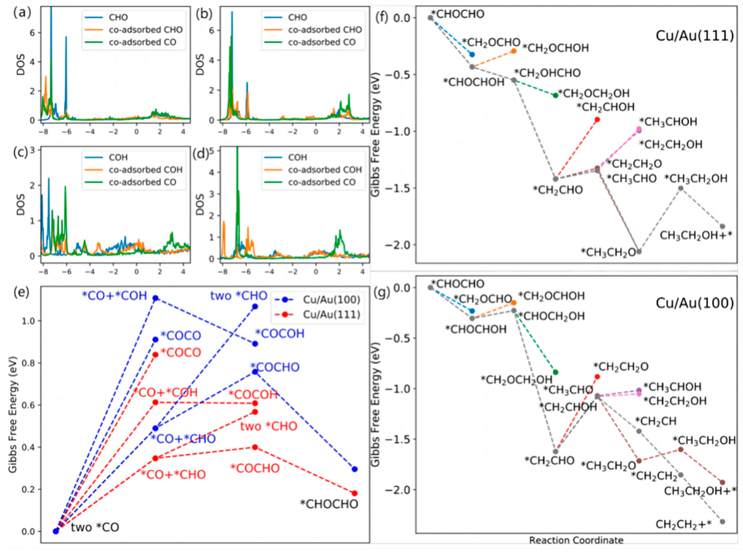 Catalysts 13 00376 g004