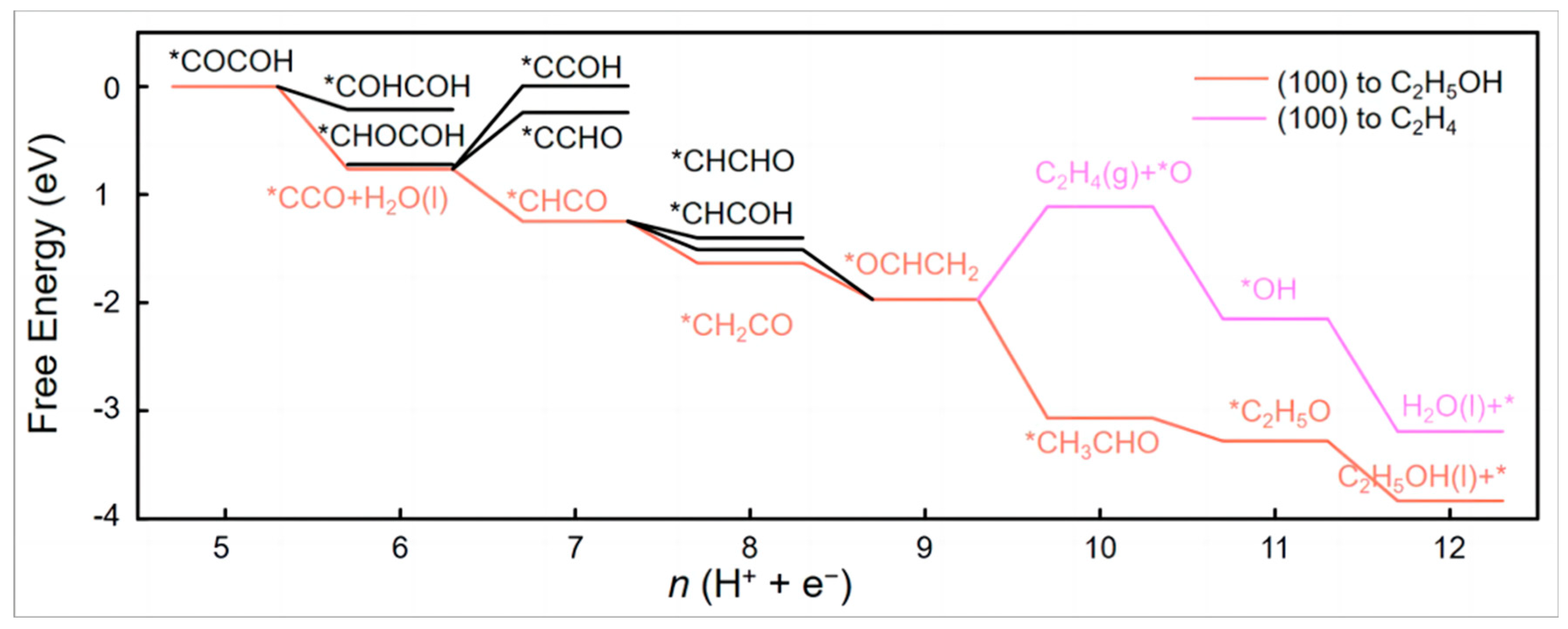 Catalysts 13 00376 g005
