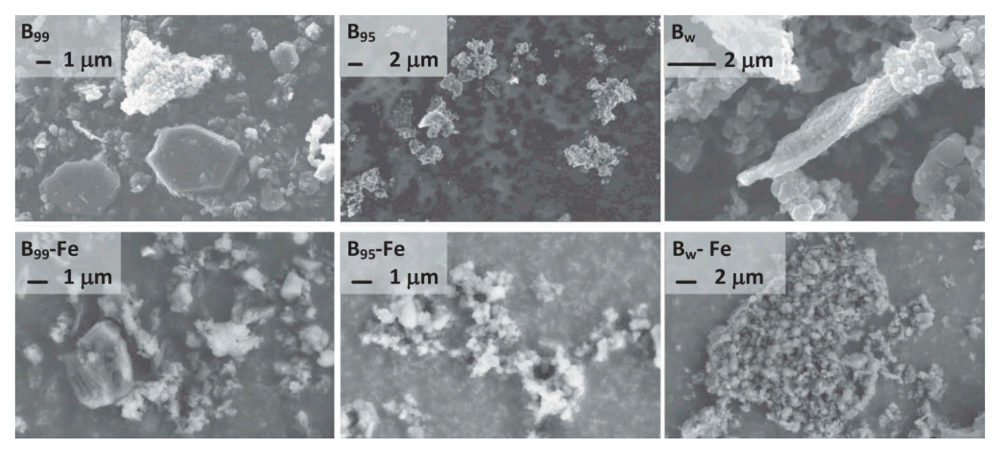 Catalysts 13 00378 g002 550