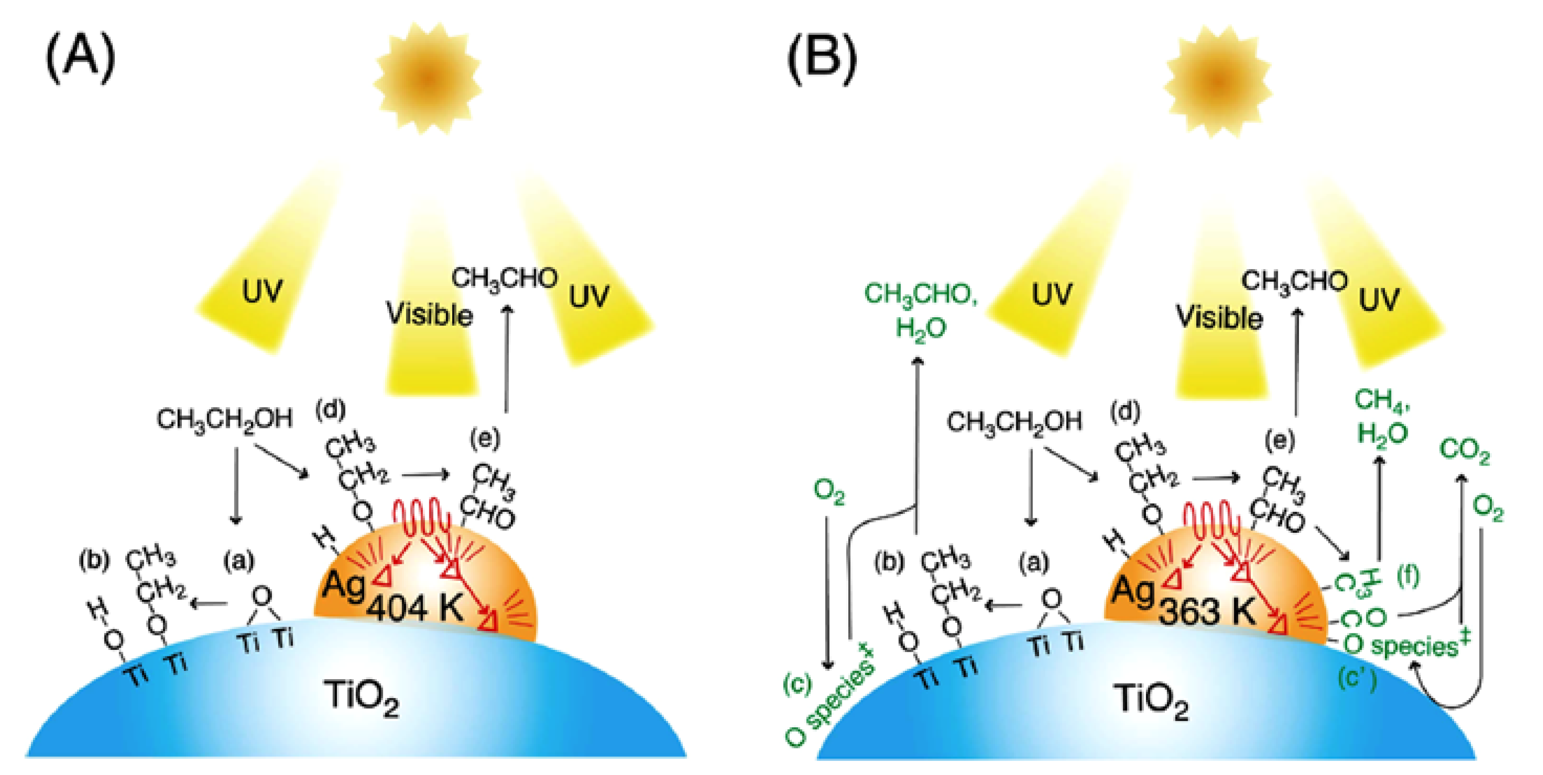 Catalysts 13 00380 g002 Catalysts 13 00380 g002