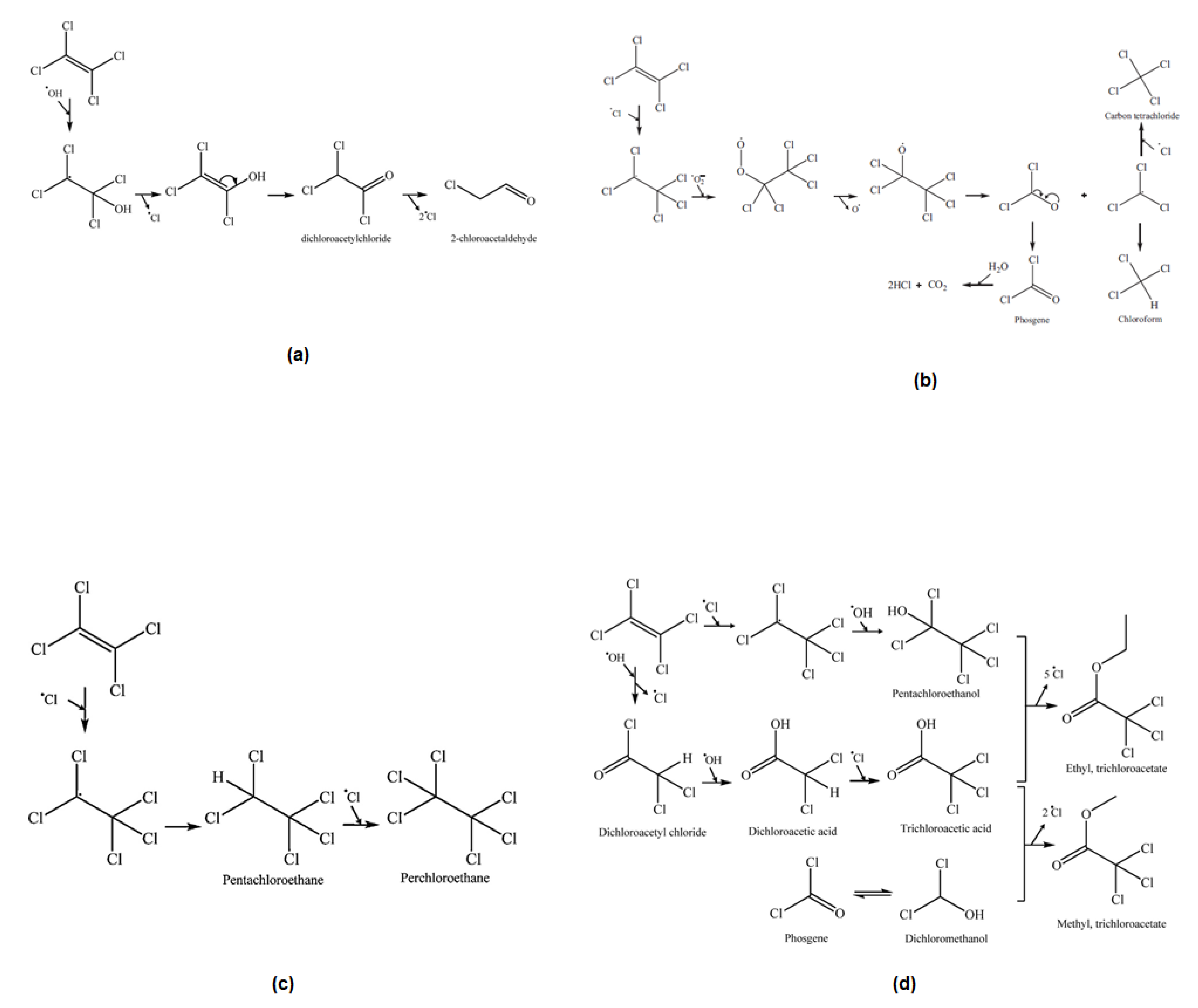 Catalysts 13 00380 g004 Catalysts 13 00380 g004