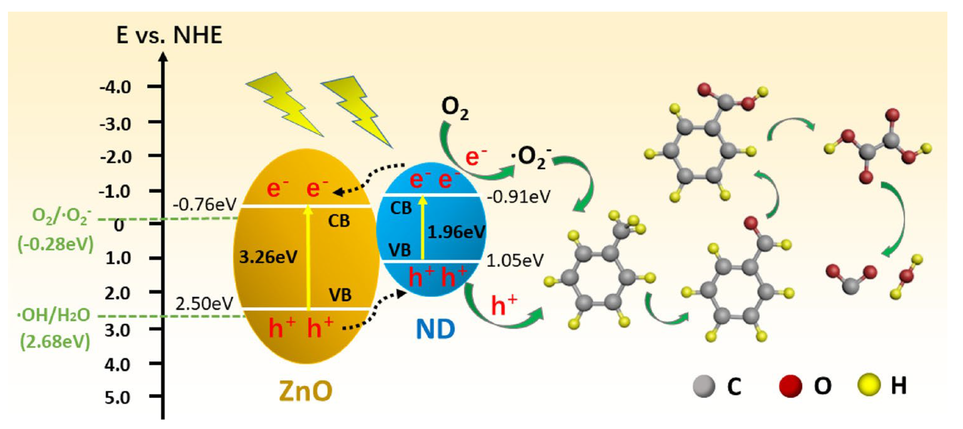 Catalysts 13 00380 g007 Catalysts 13 00380 g007