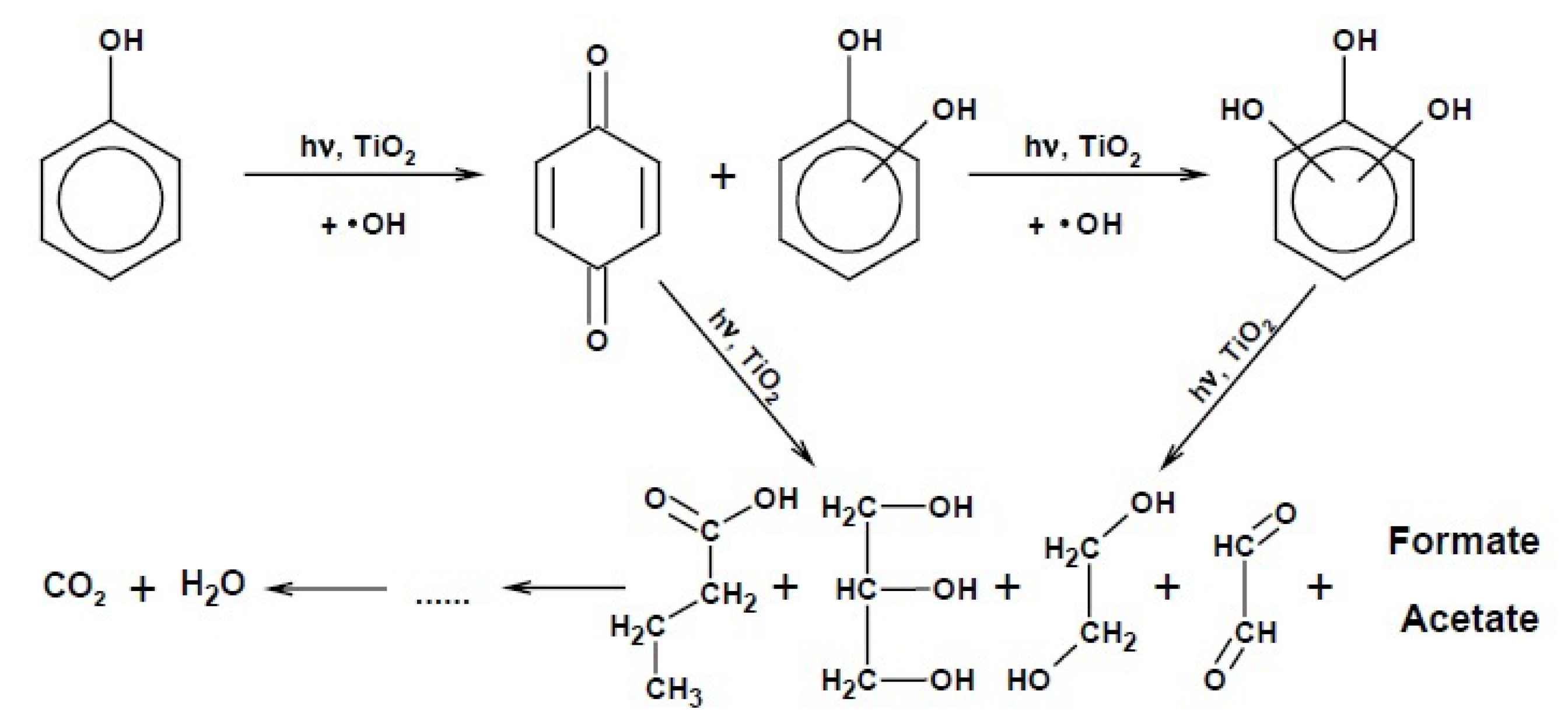 Catalysts 13 00380 g009 Catalysts 13 00380 g009