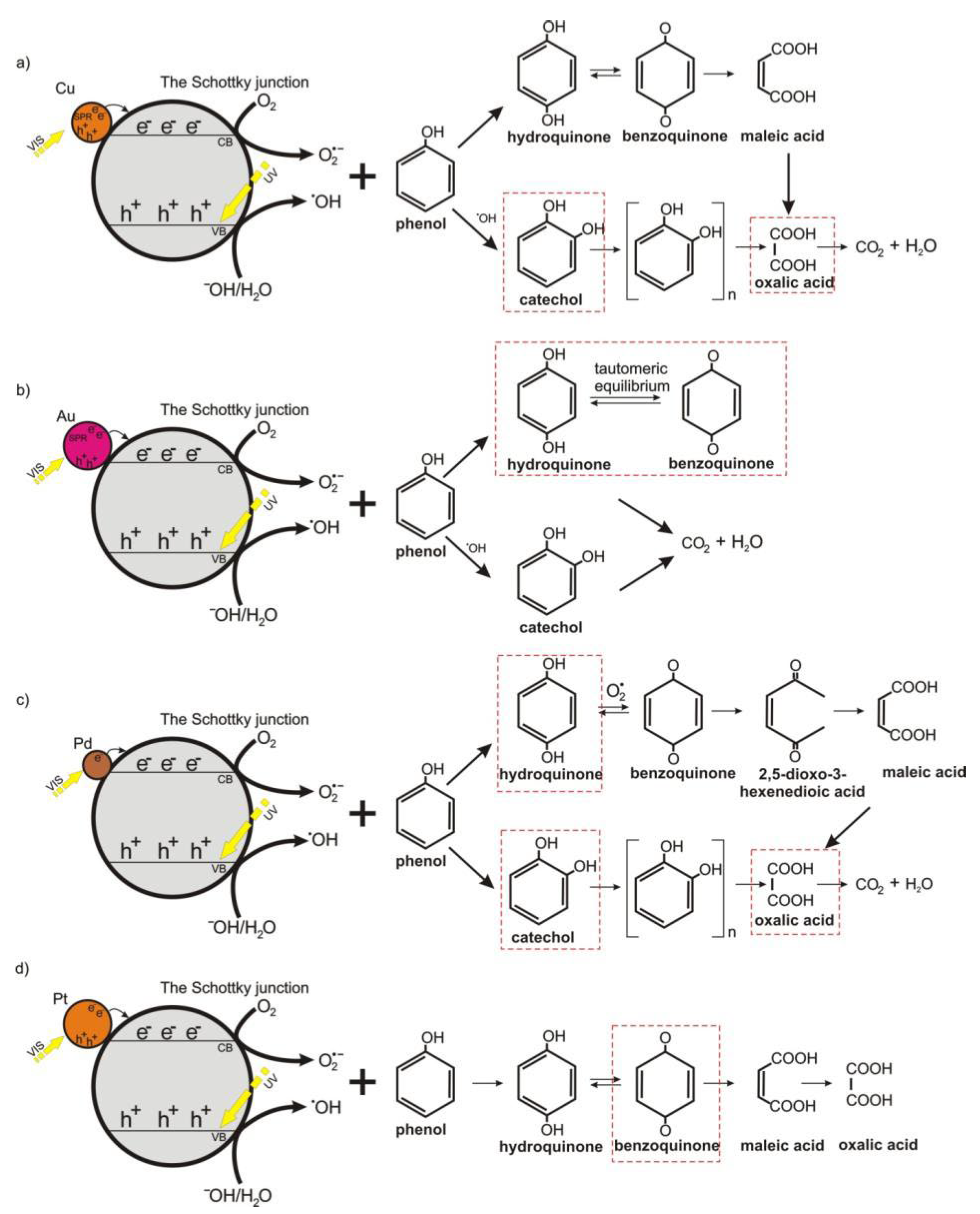Catalysts 13 00380 g010 Catalysts 13 00380 g010