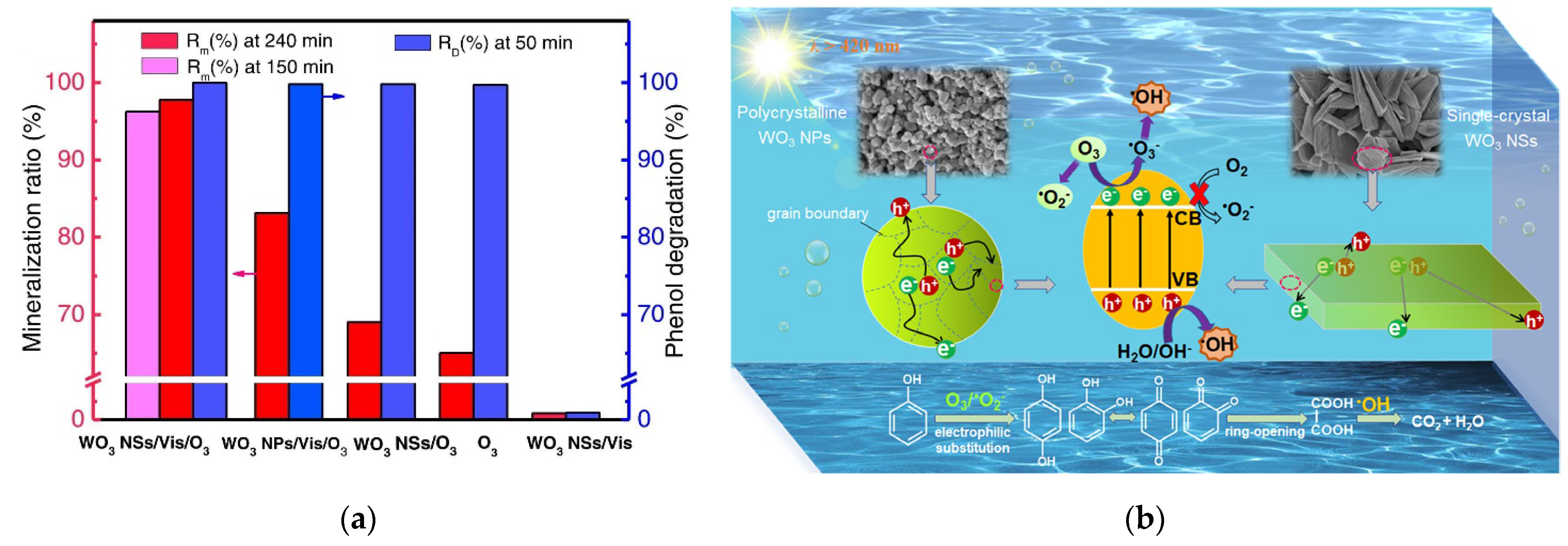 Catalysts 13 00380 g014 Catalysts 13 00380 g014