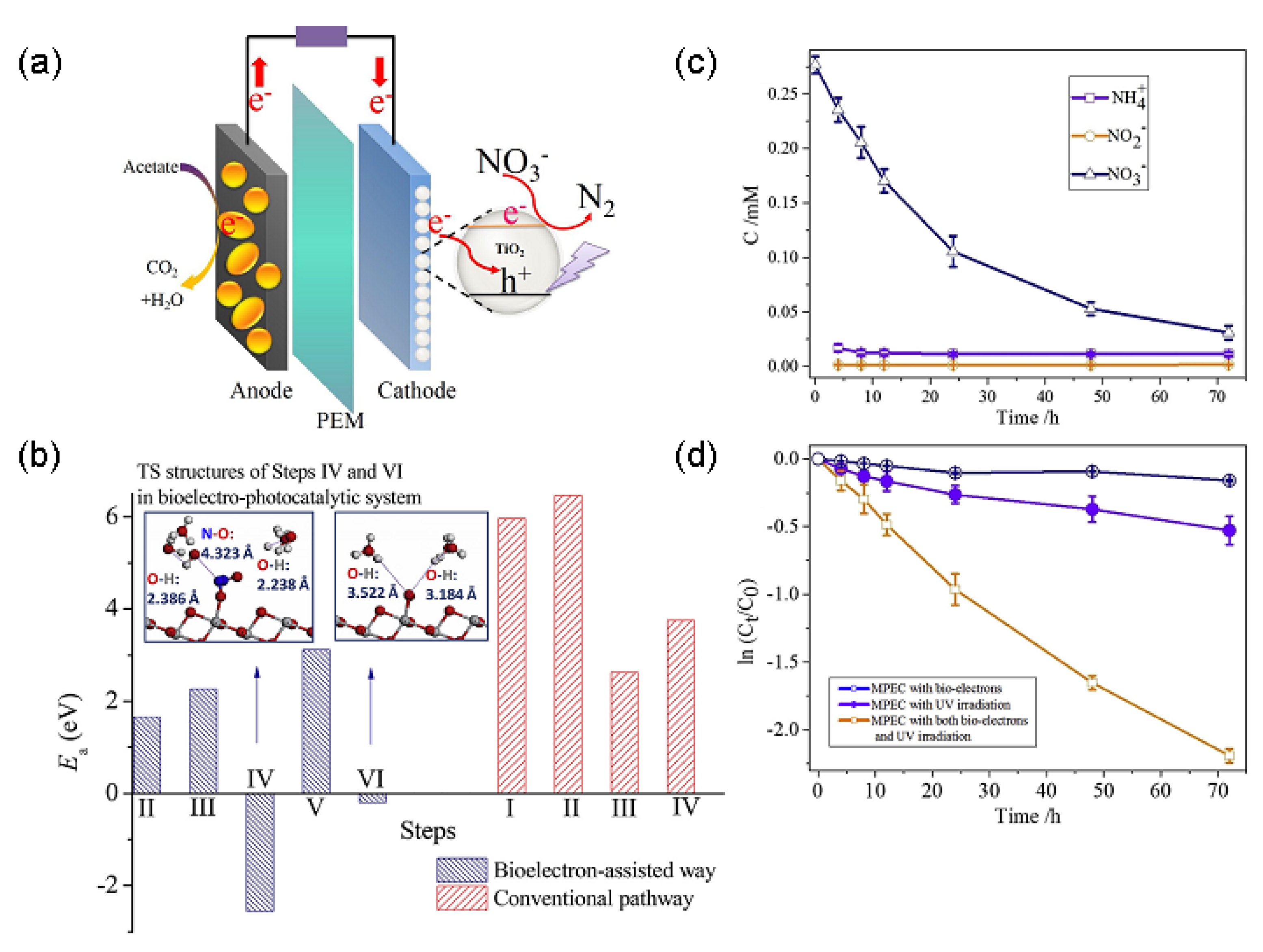 Catalysts 13 00380 g017 Catalysts 13 00380 g017