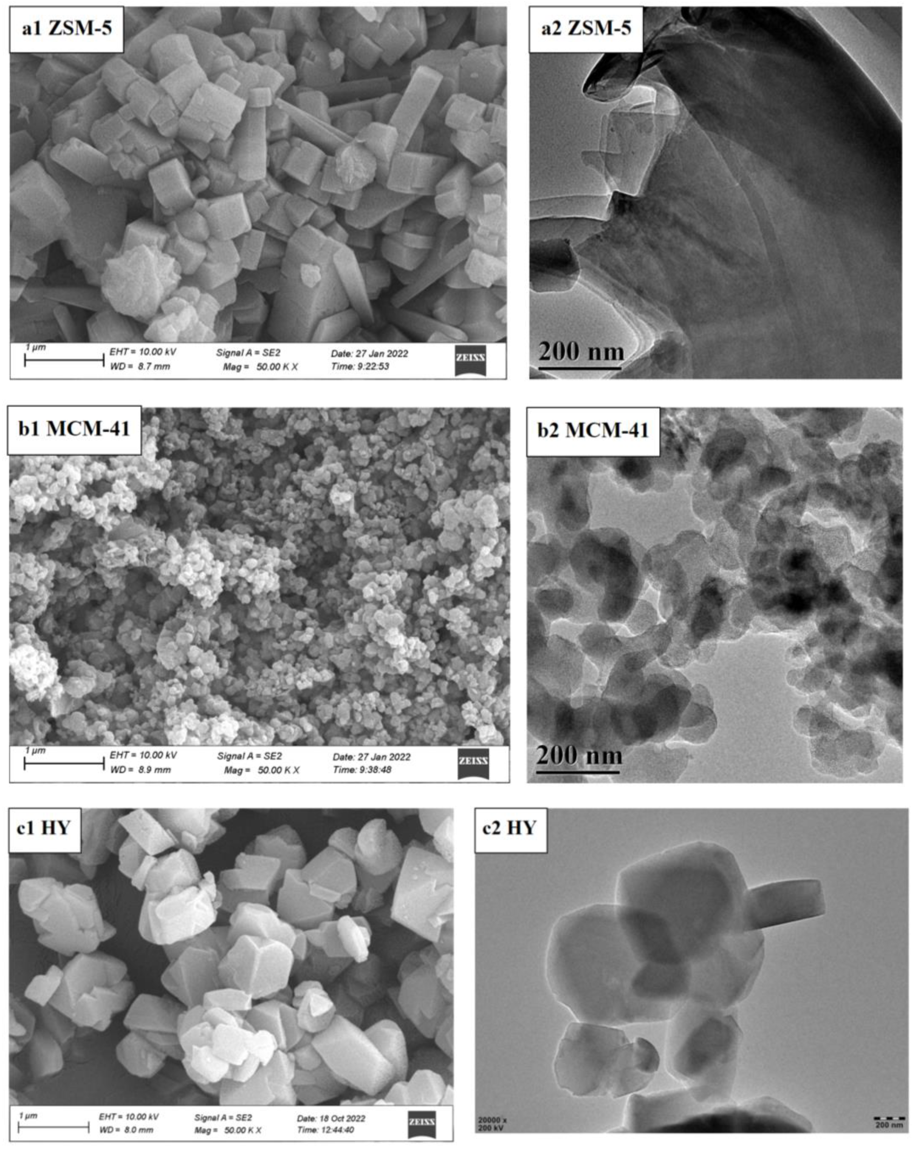 Catalysts 13 00382 g002 550