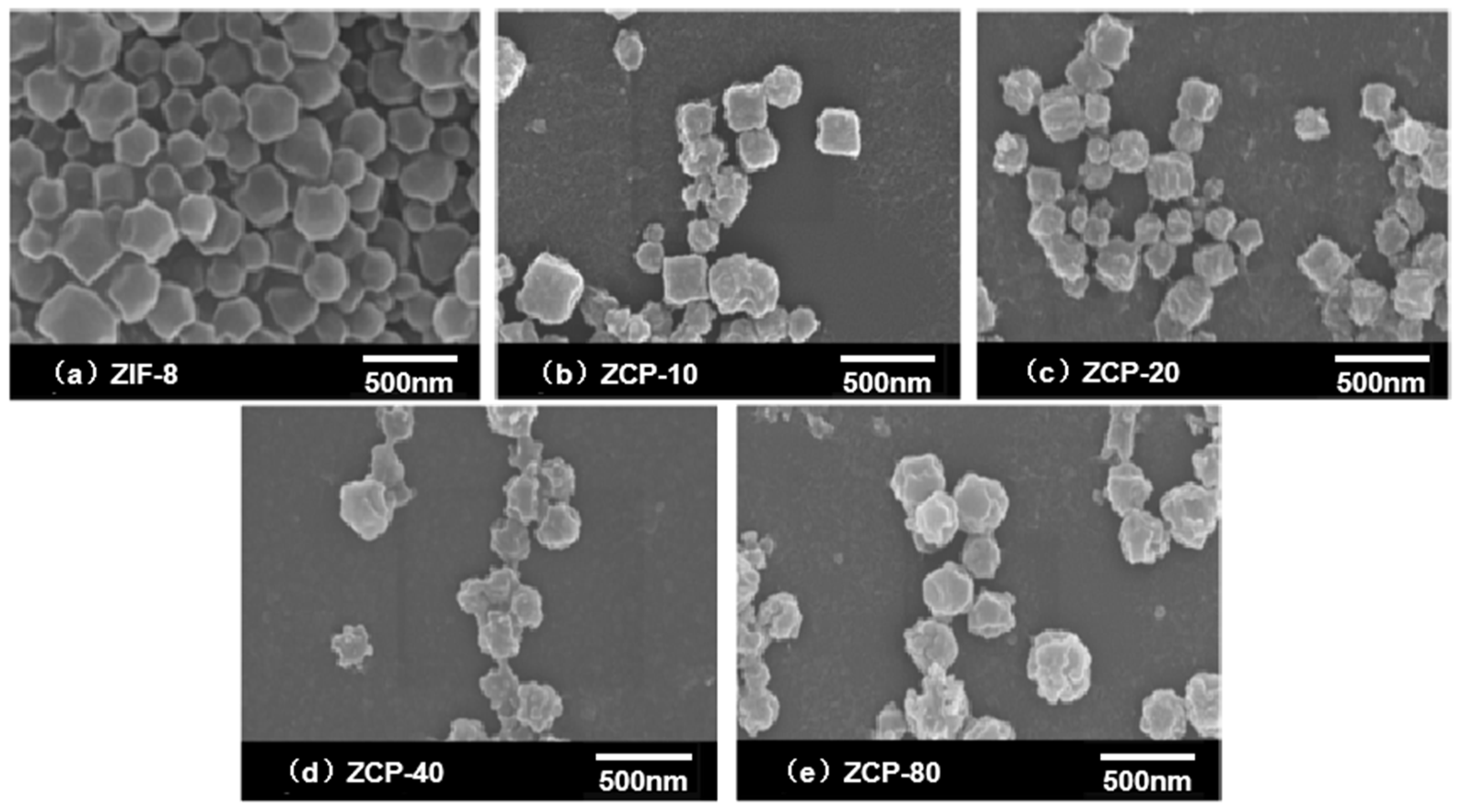 Catalysts 13 00383 g001