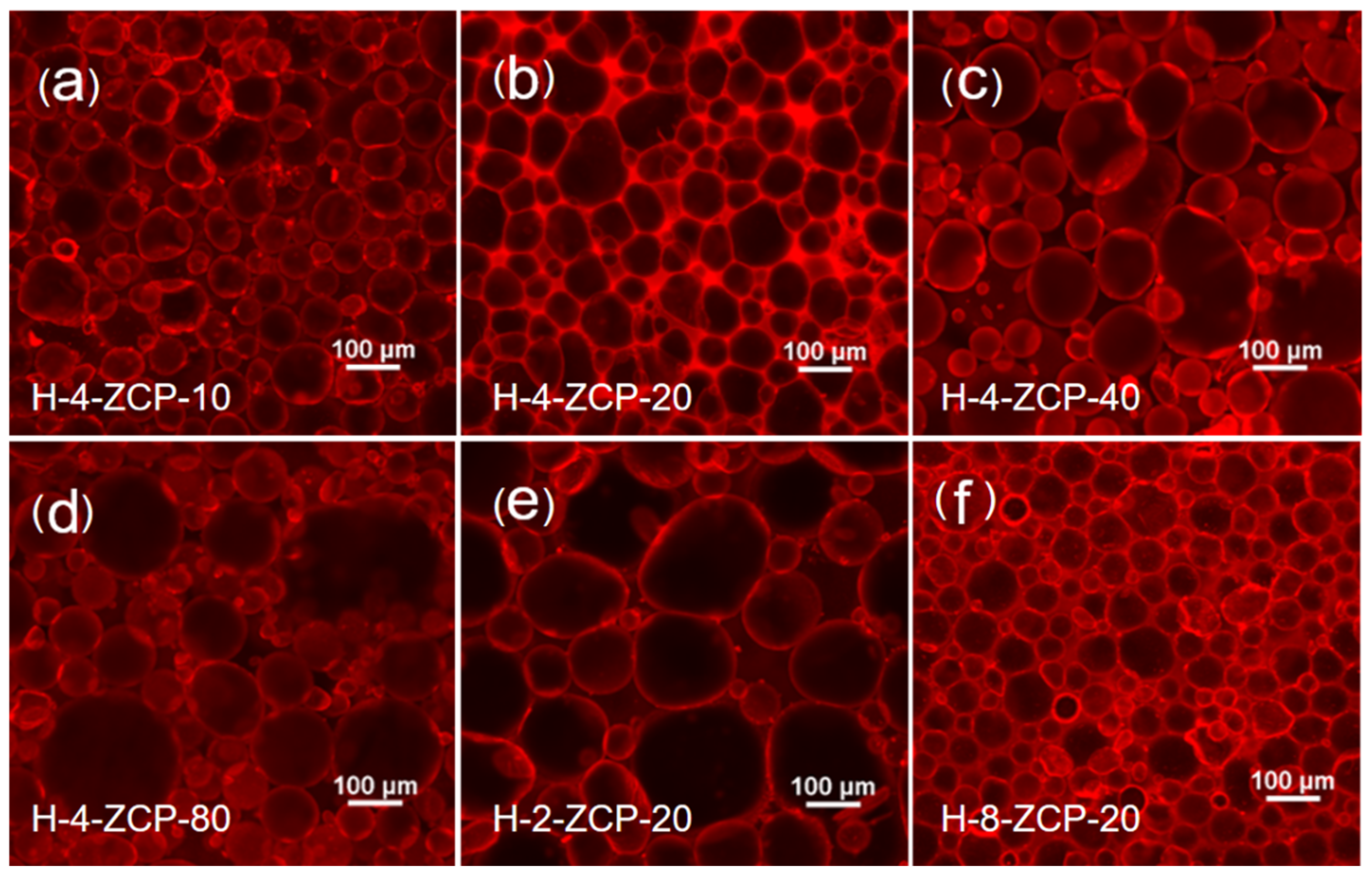Catalysts 13 00383 g004