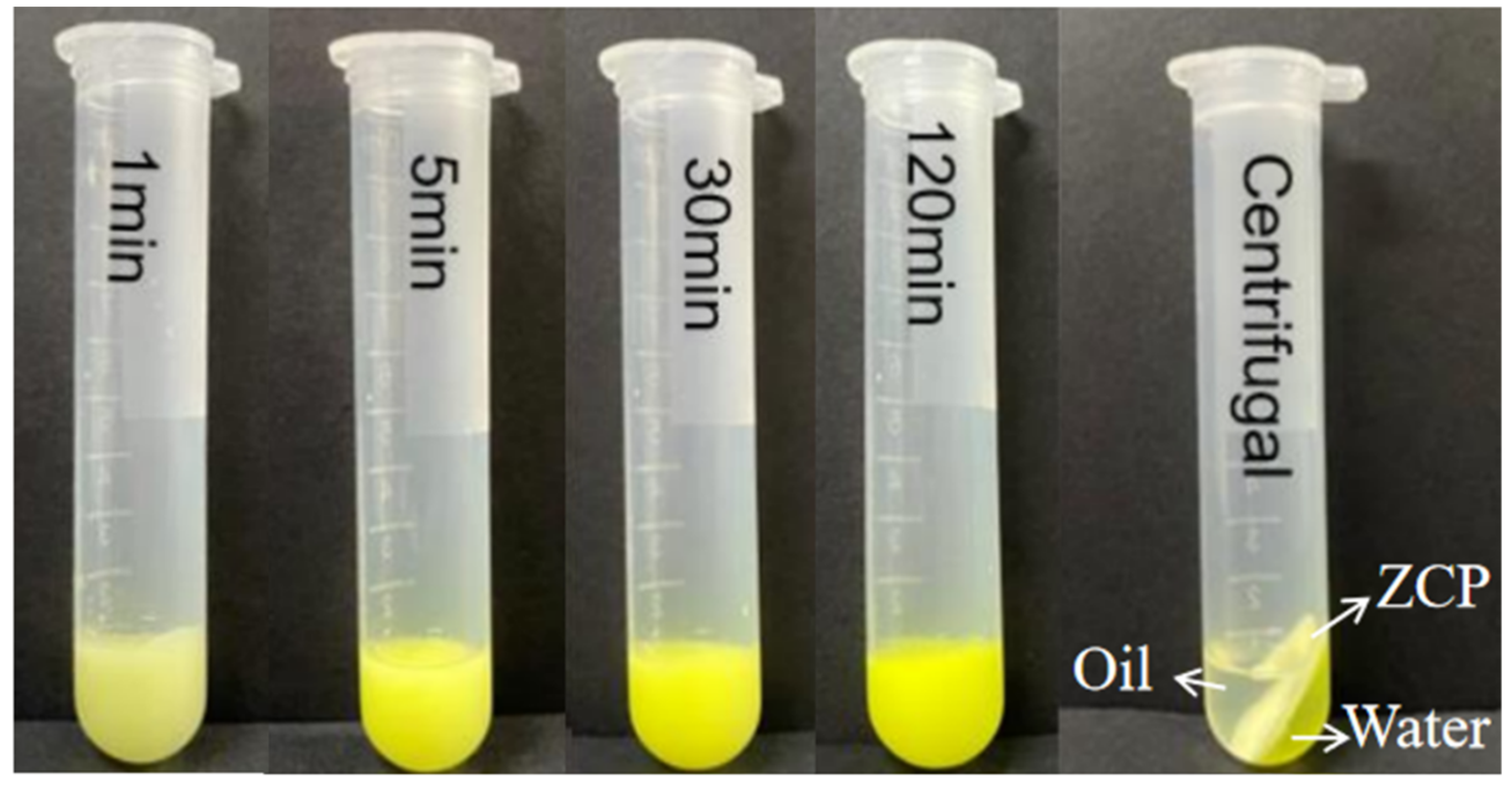 Catalysts 13 00383 g005