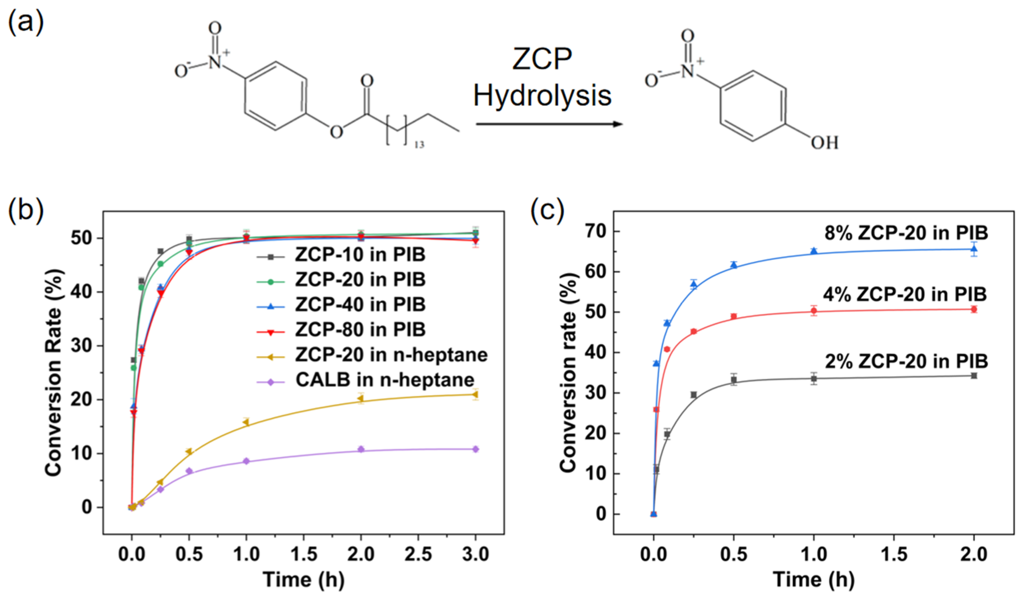 Catalysts 13 00383 g006