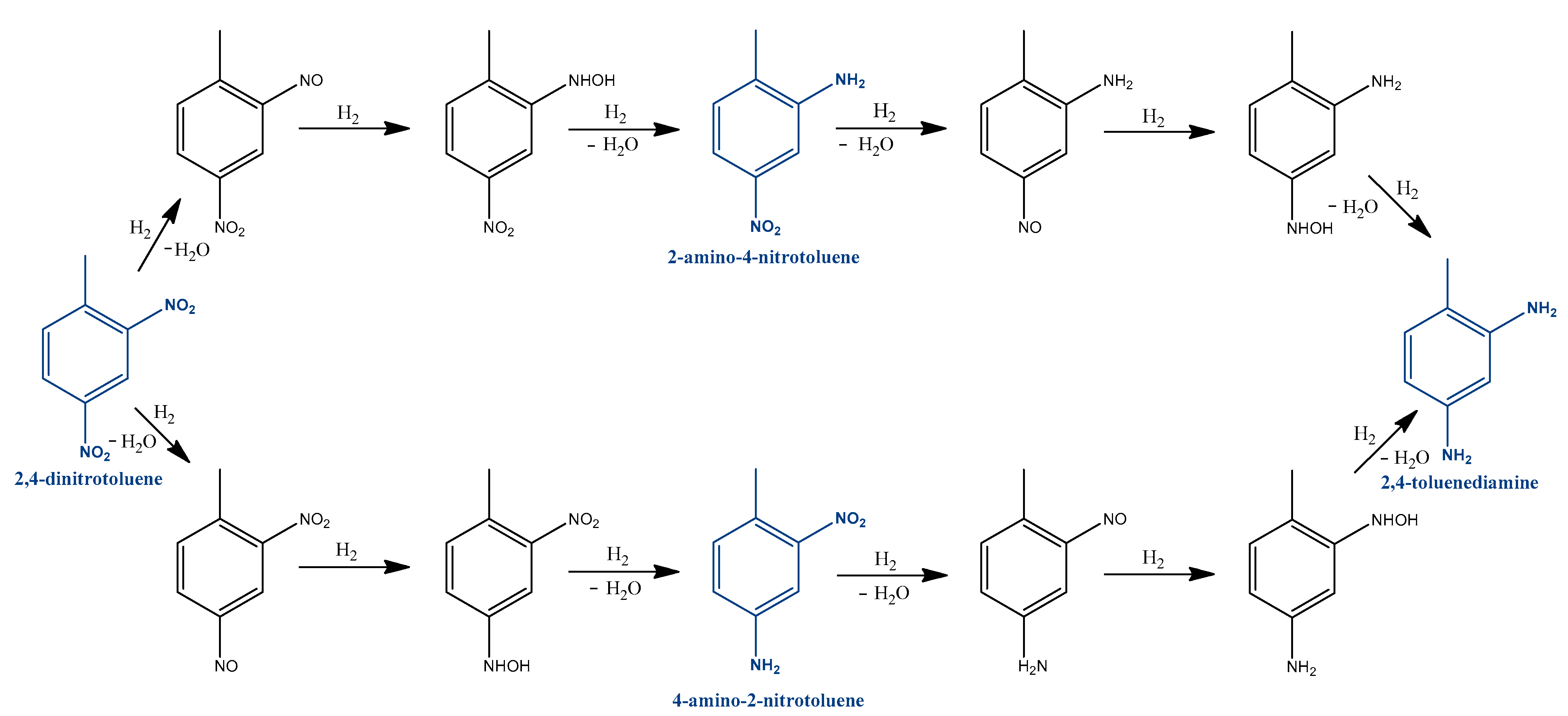 Catalysts 13 00387 g005 550