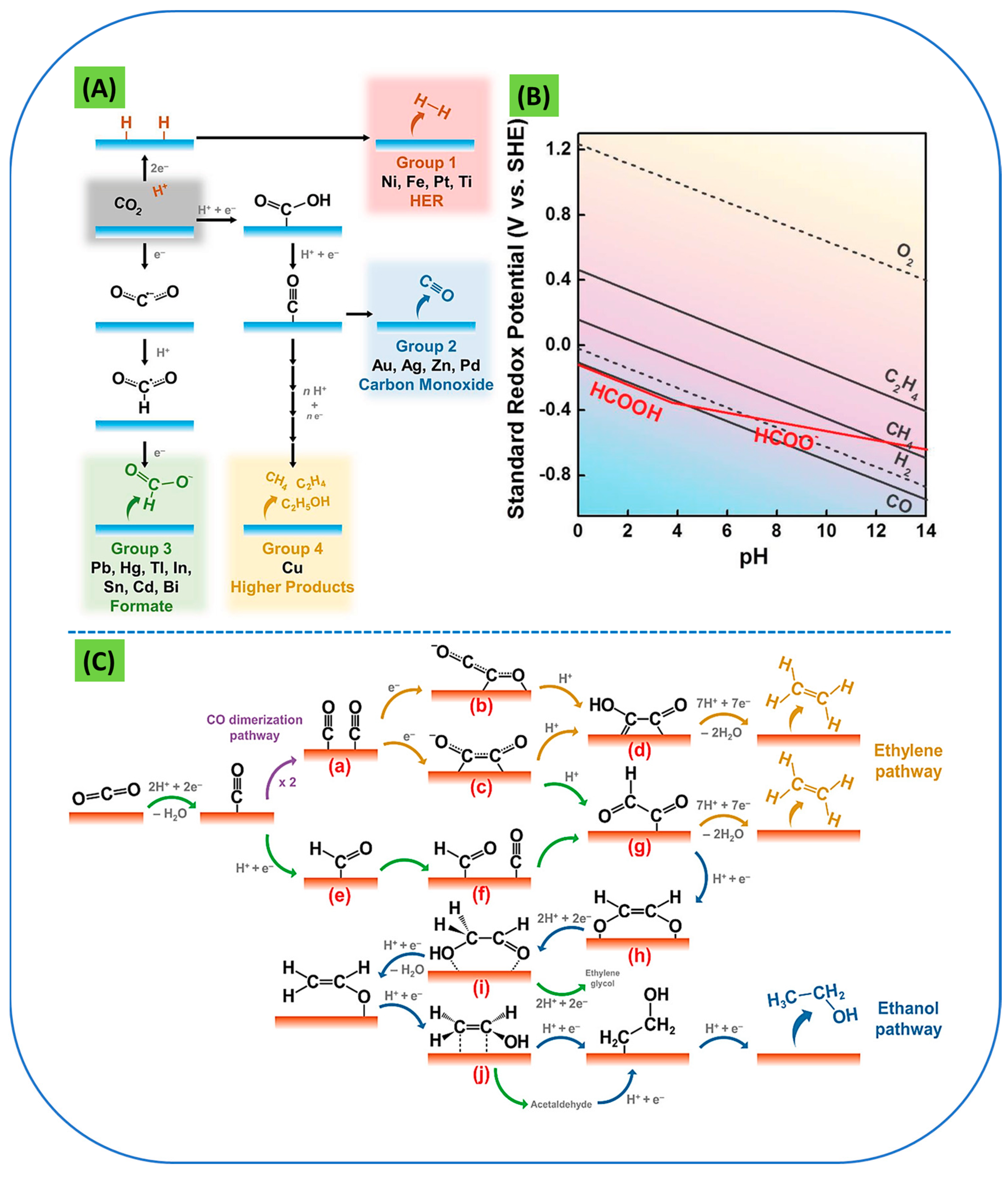 Catalysts 13 00393 g002