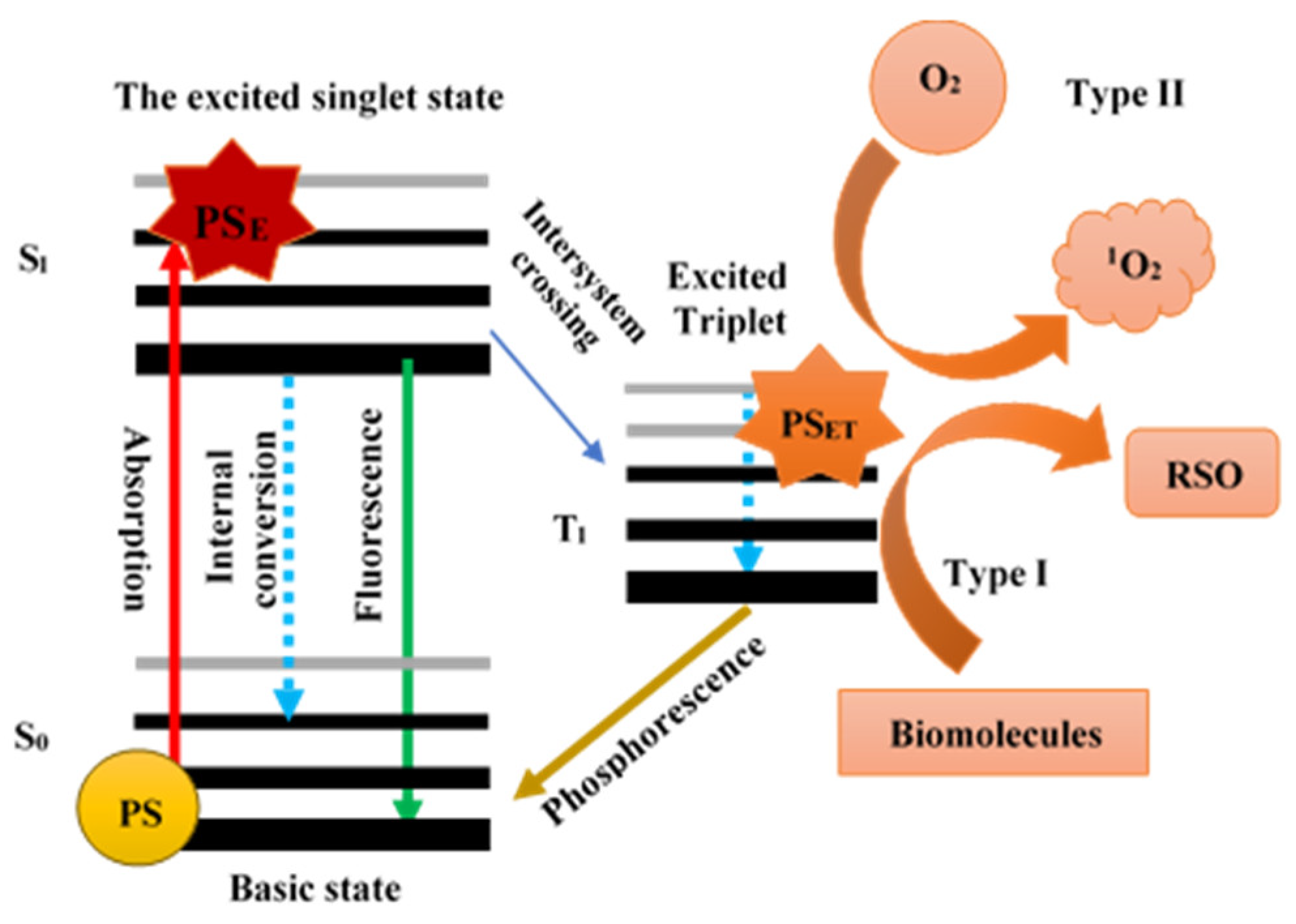 Catalysts 13 00394 g002 Catalysts 13 00394 g002