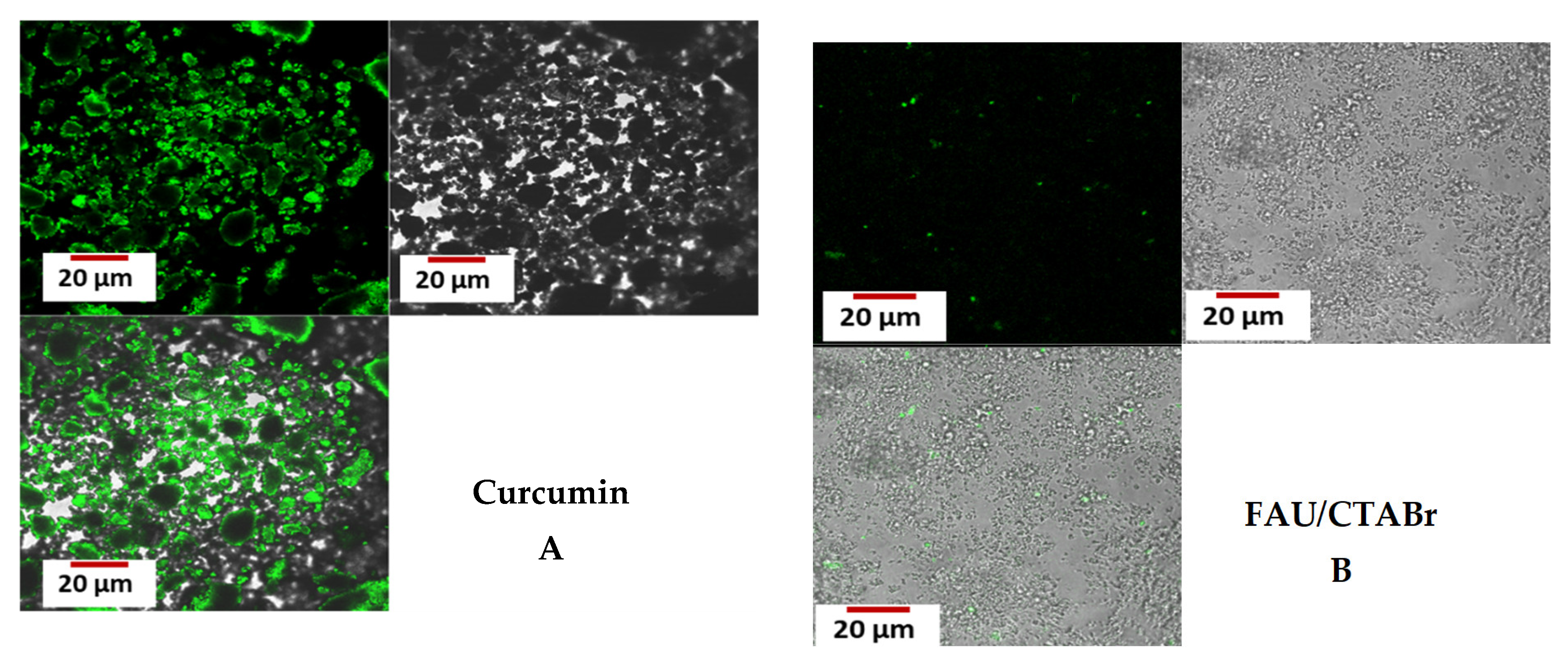 Catalysts 13 00394 g008a Catalysts 13 00394 g008a