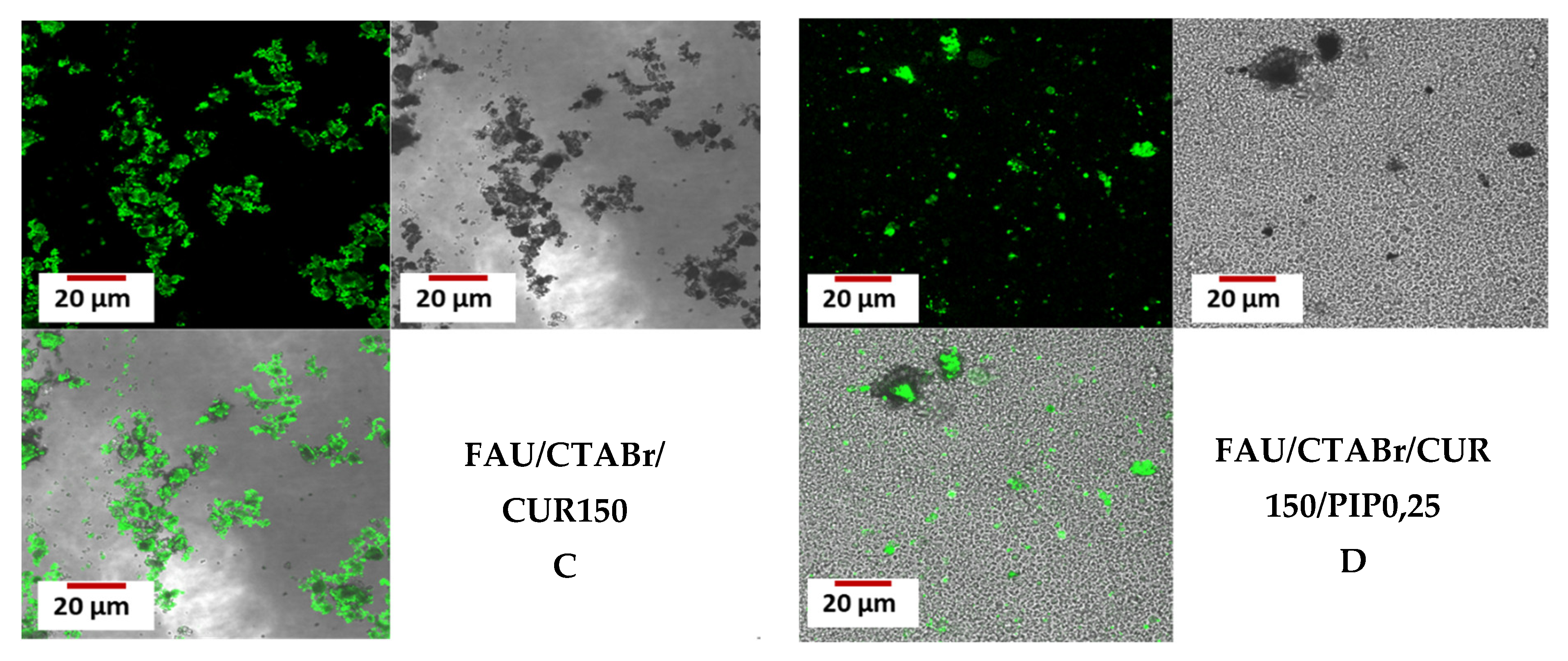 Catalysts 13 00394 g008b Catalysts 13 00394 g008b