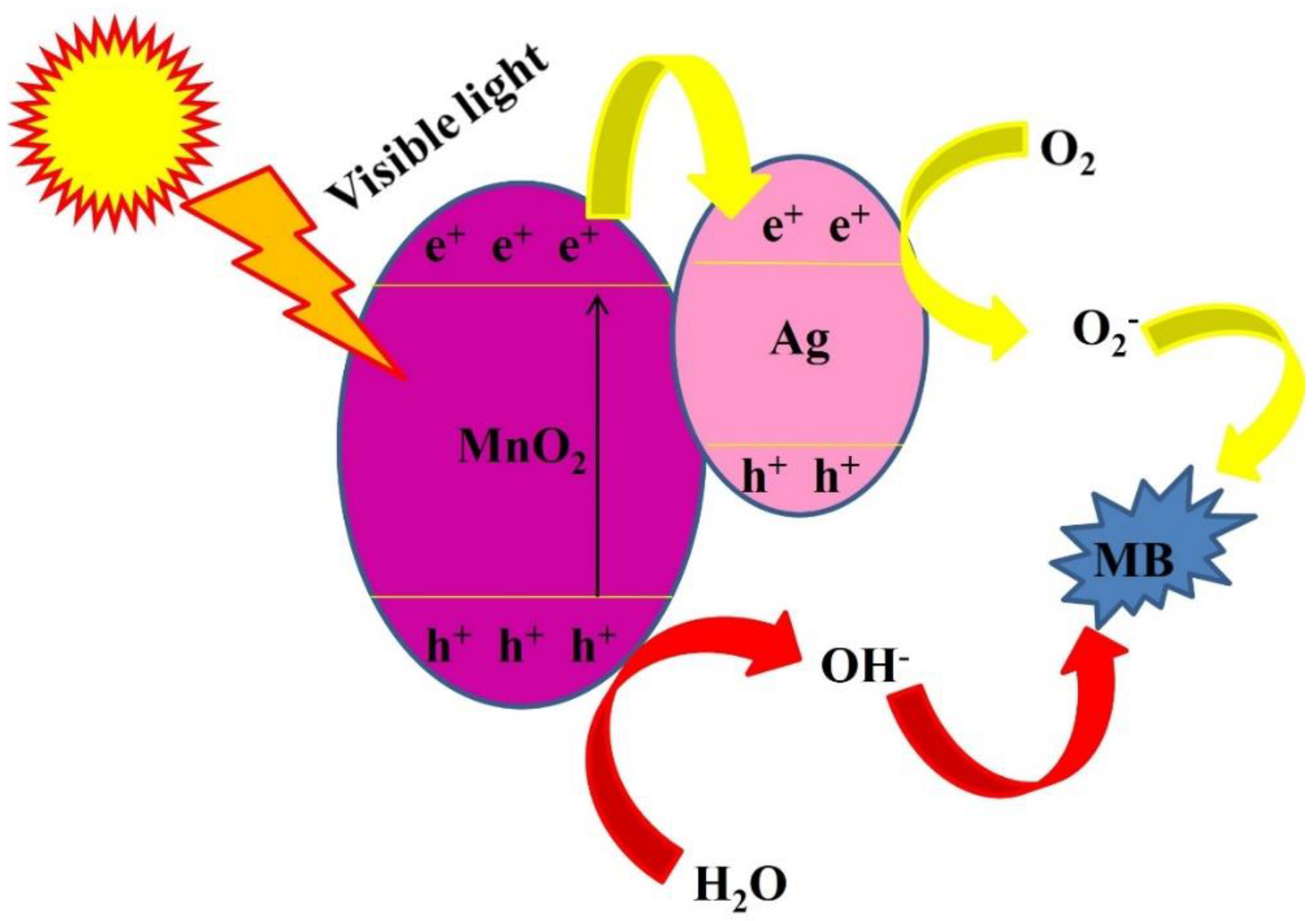 Catalysts 13 00397 g009