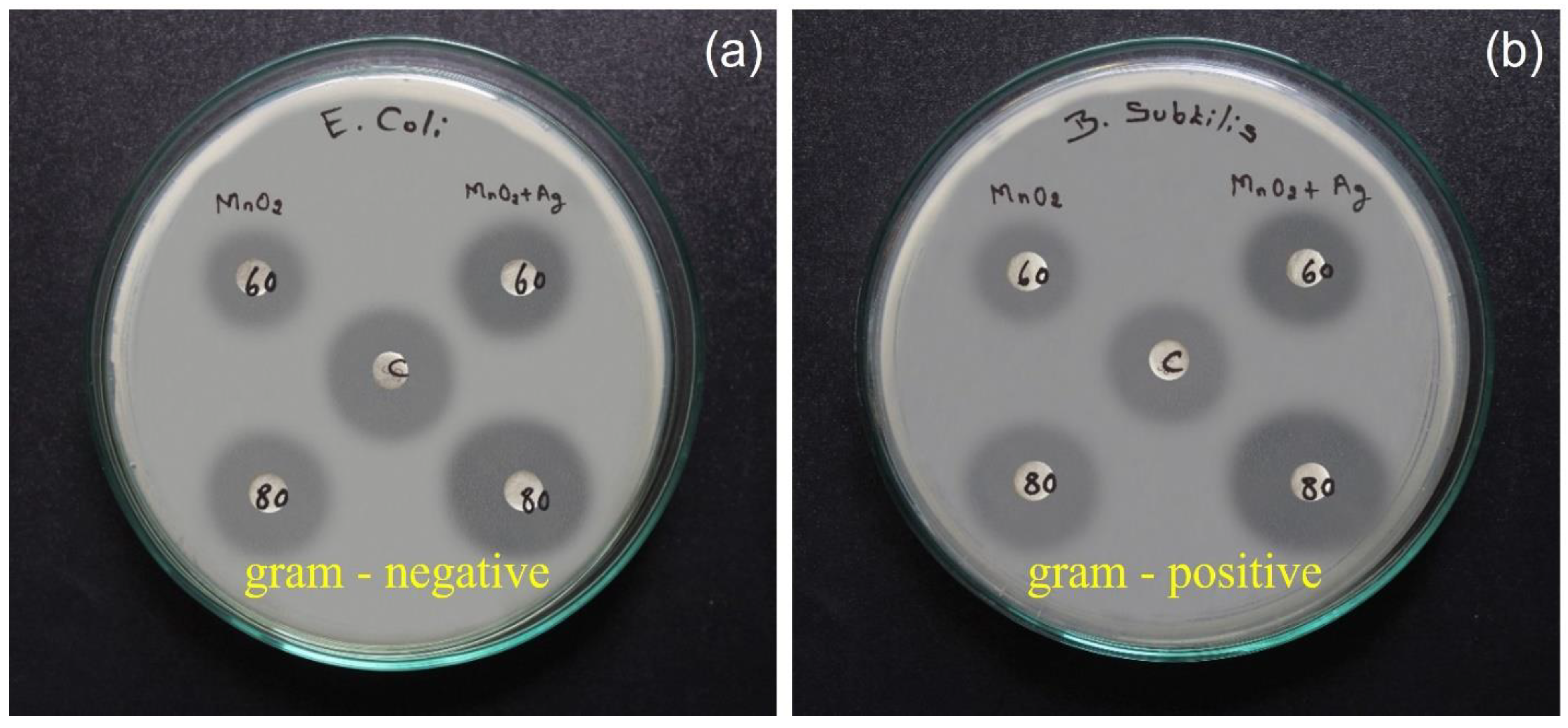 Catalysts 13 00397 g010