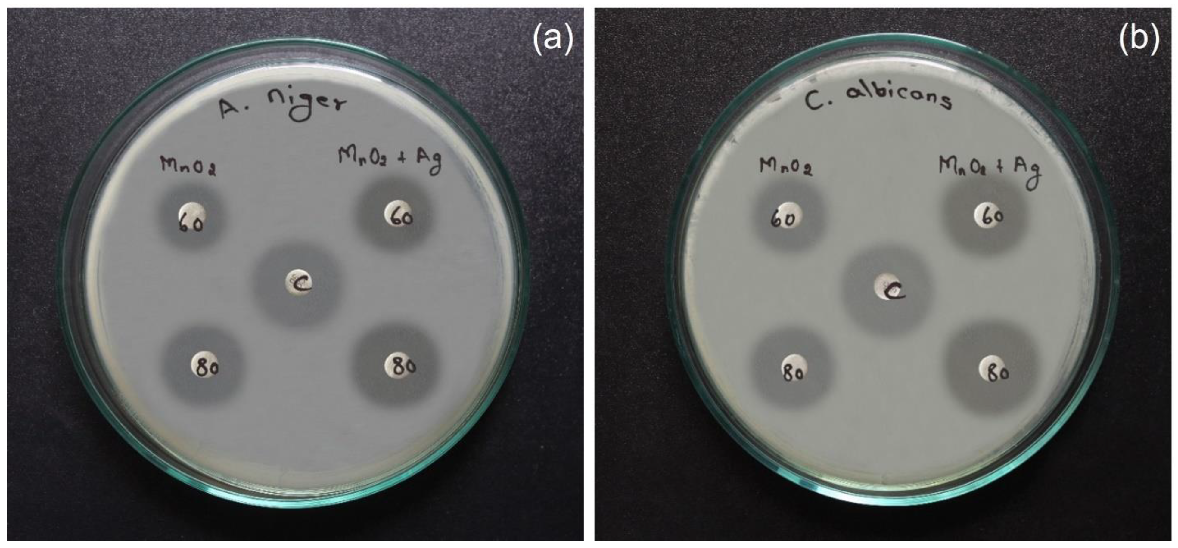 Catalysts 13 00397 g012