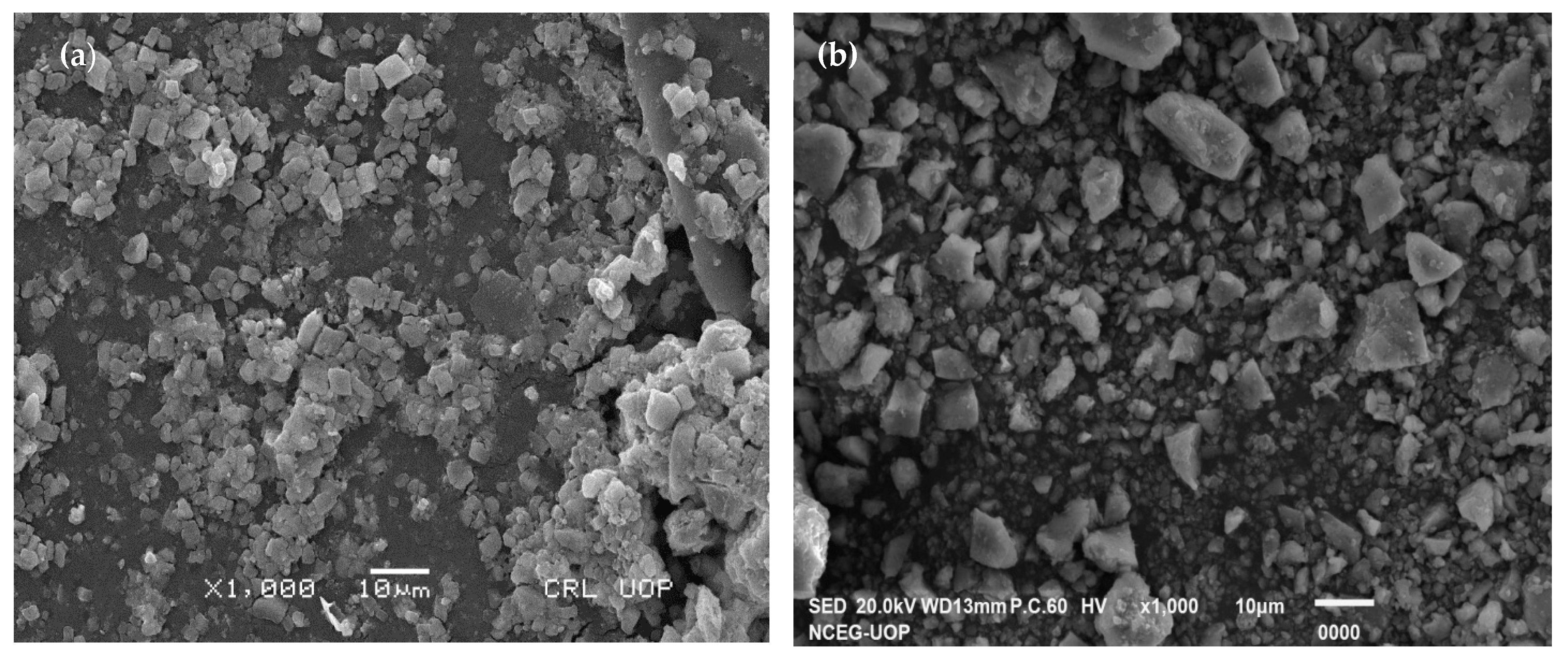Catalysts 13 00400 g003