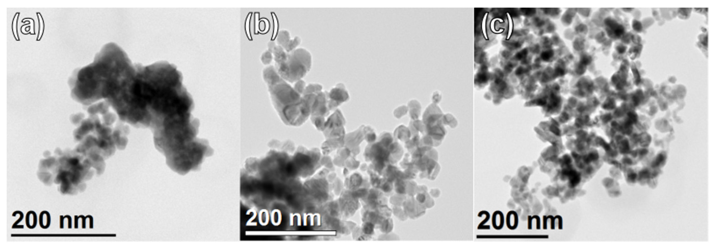 Catalysts 13 00405 g004 550