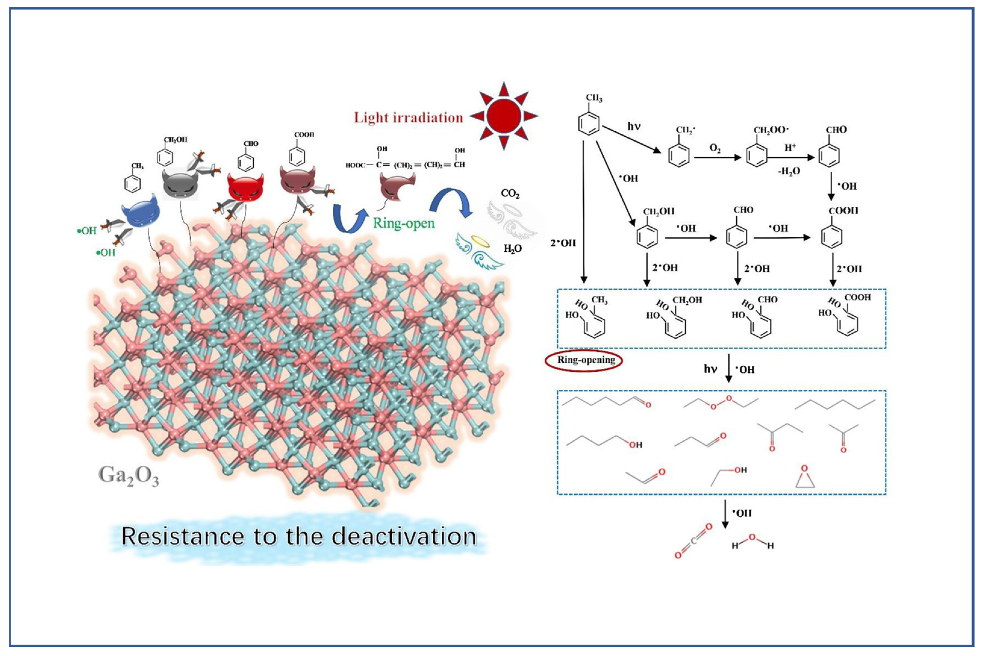 Catalysts 13 00407 g006