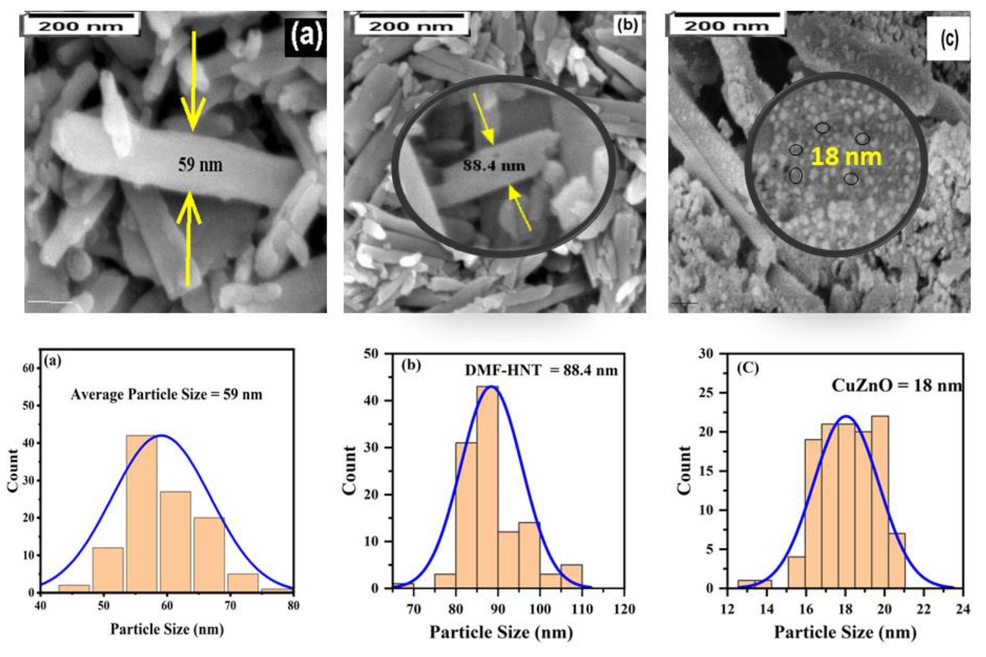 Catalysts 13 00408 g005