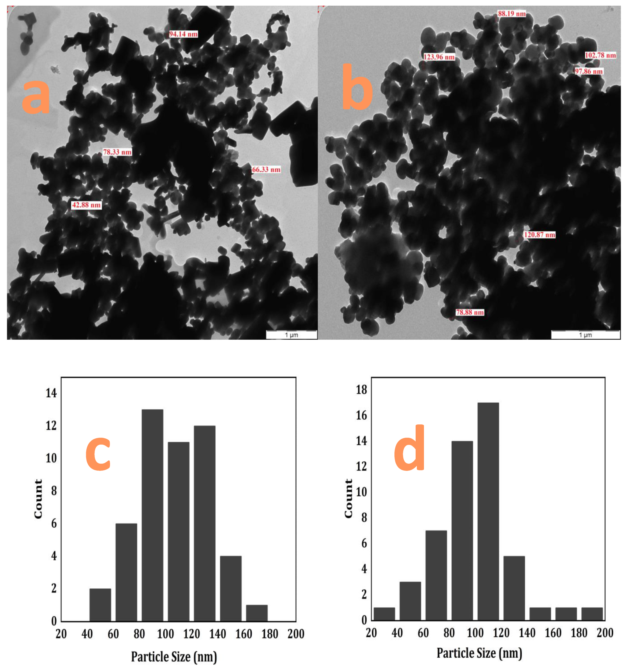 Catalysts 13 00409 g002 550