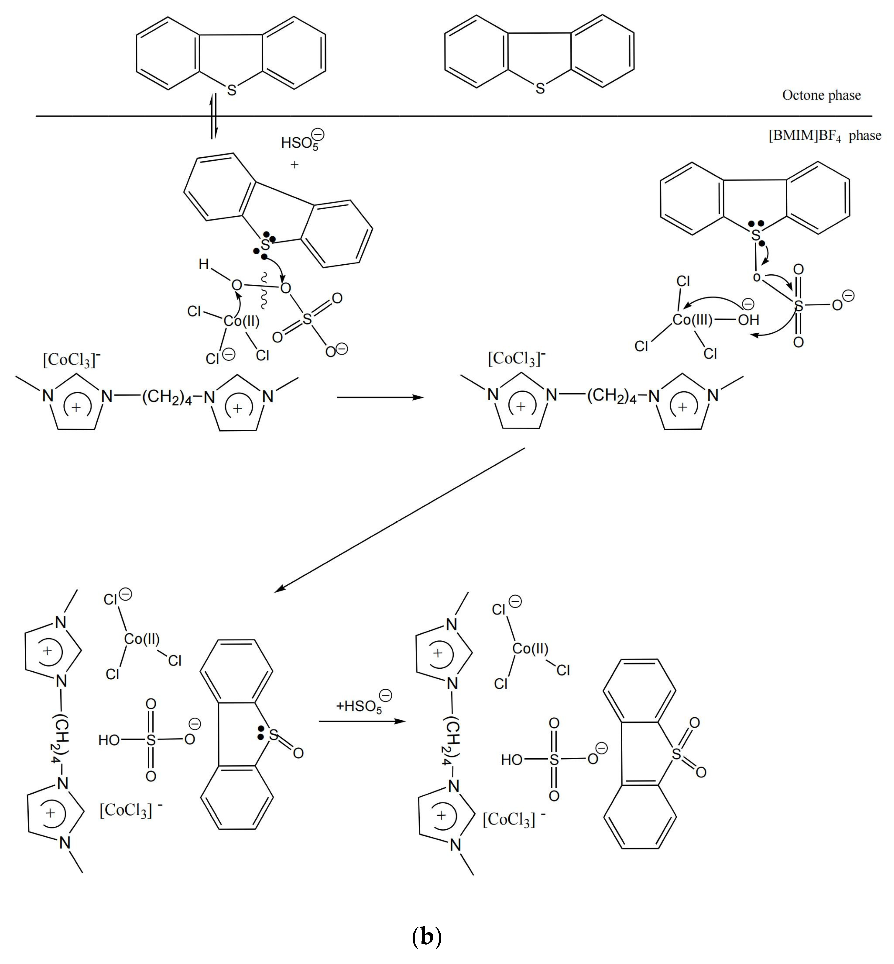 Catalysts 13 00410 g011b Catalysts 13 00410 g011b